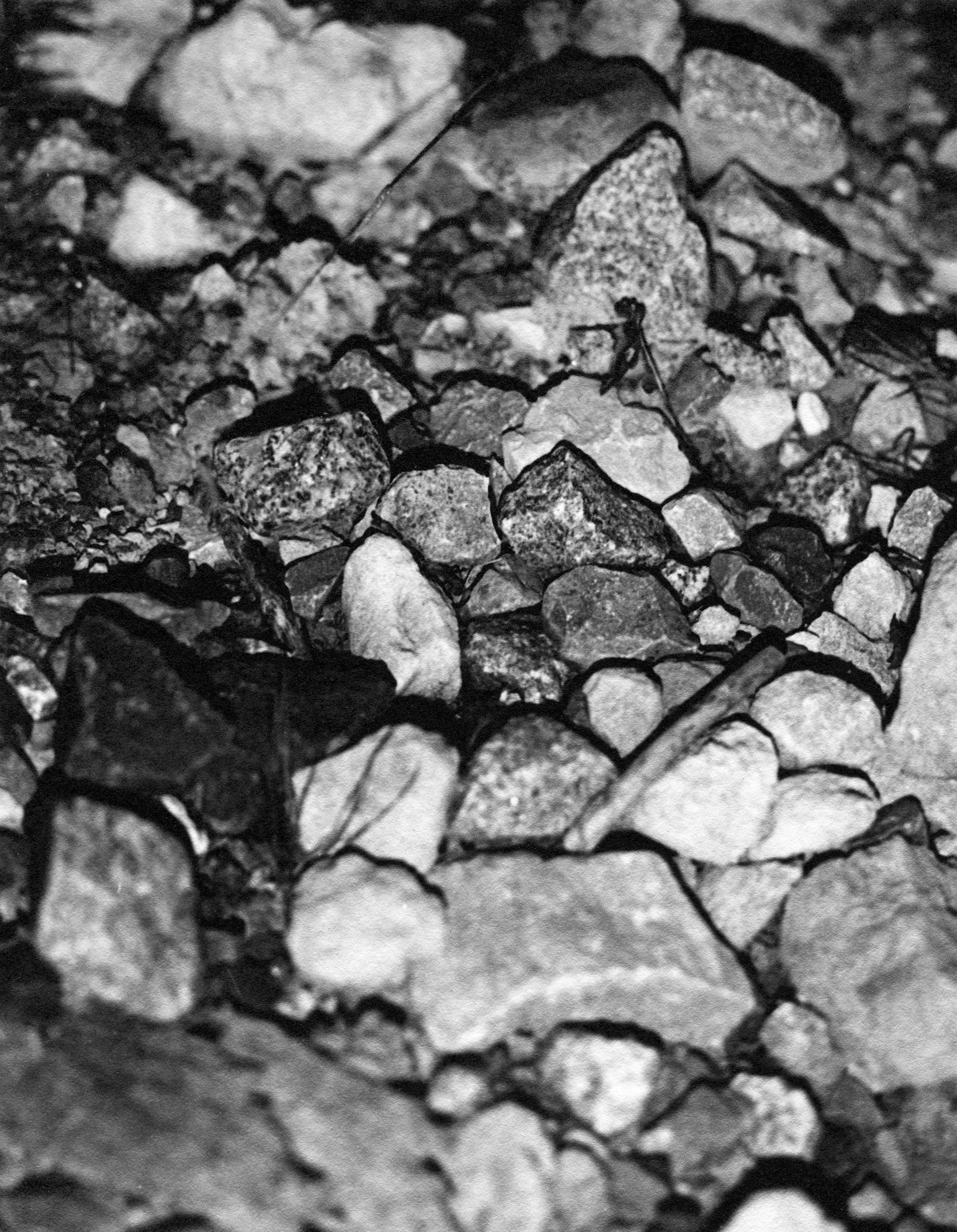 darkroom print 023.jpg