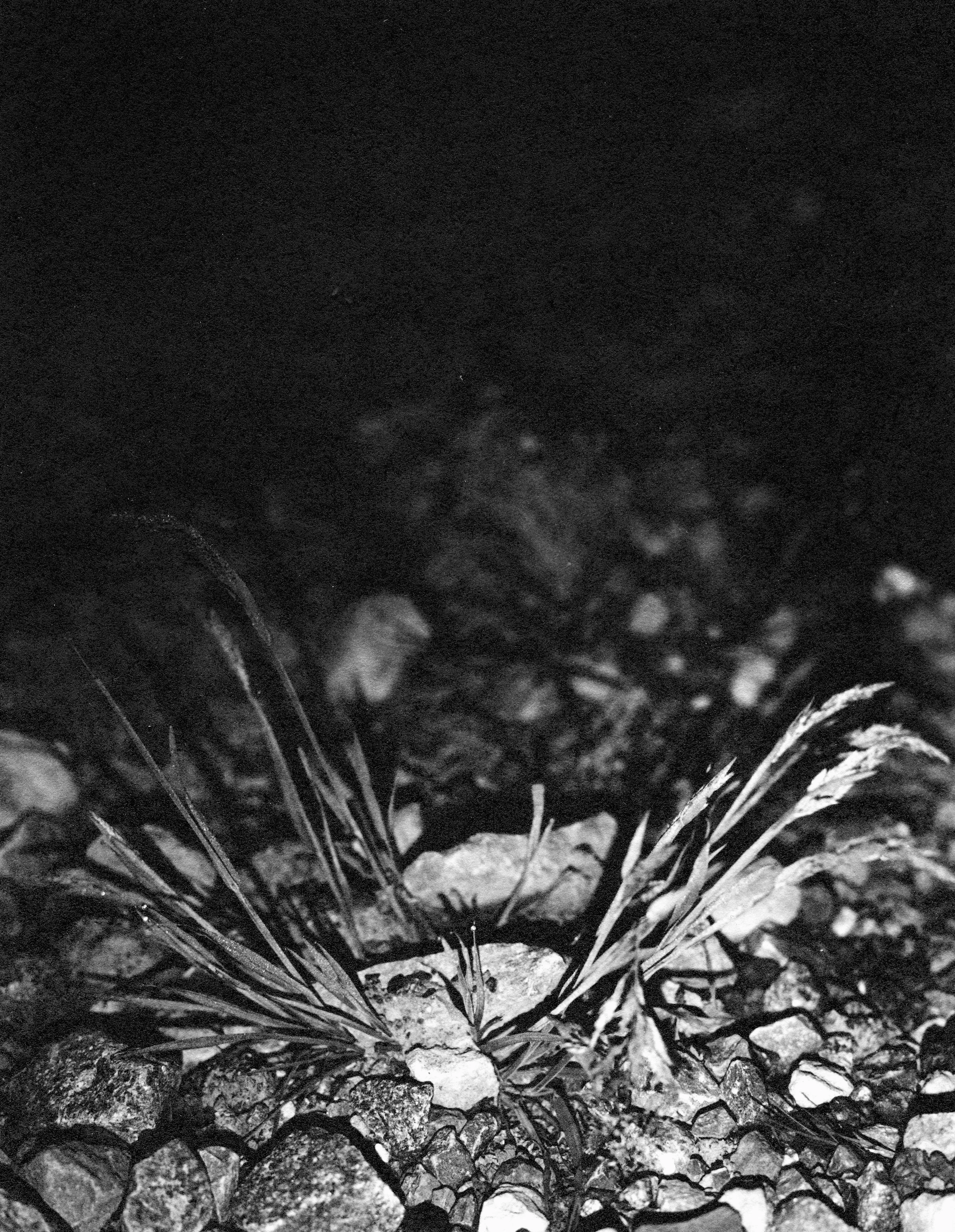 darkroom print 011.jpg