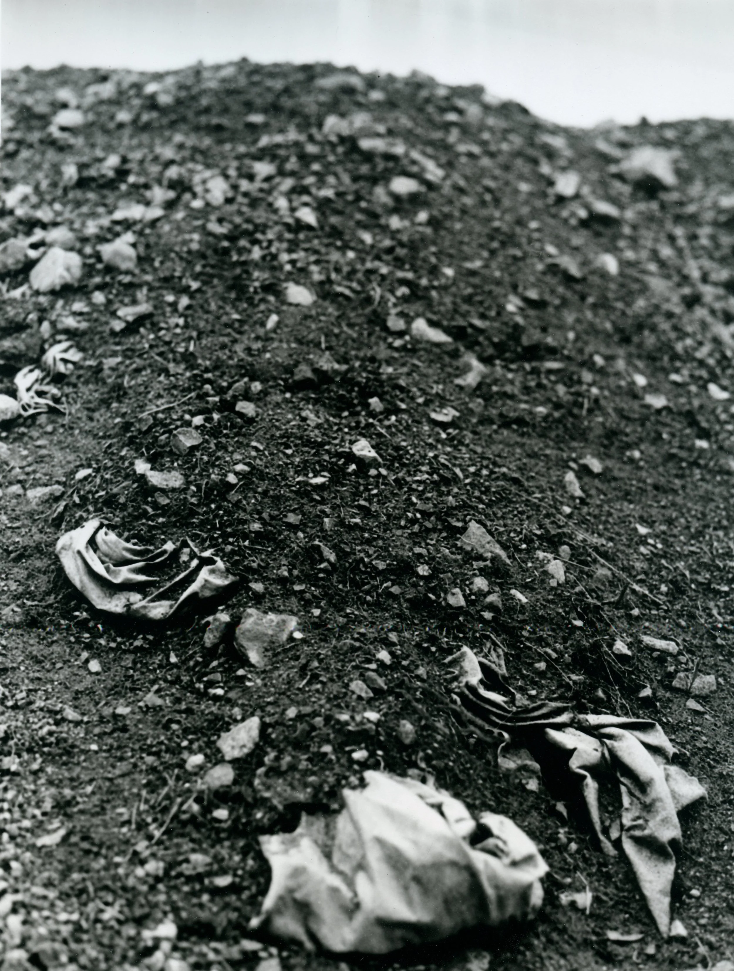 darkroom print 001.jpg