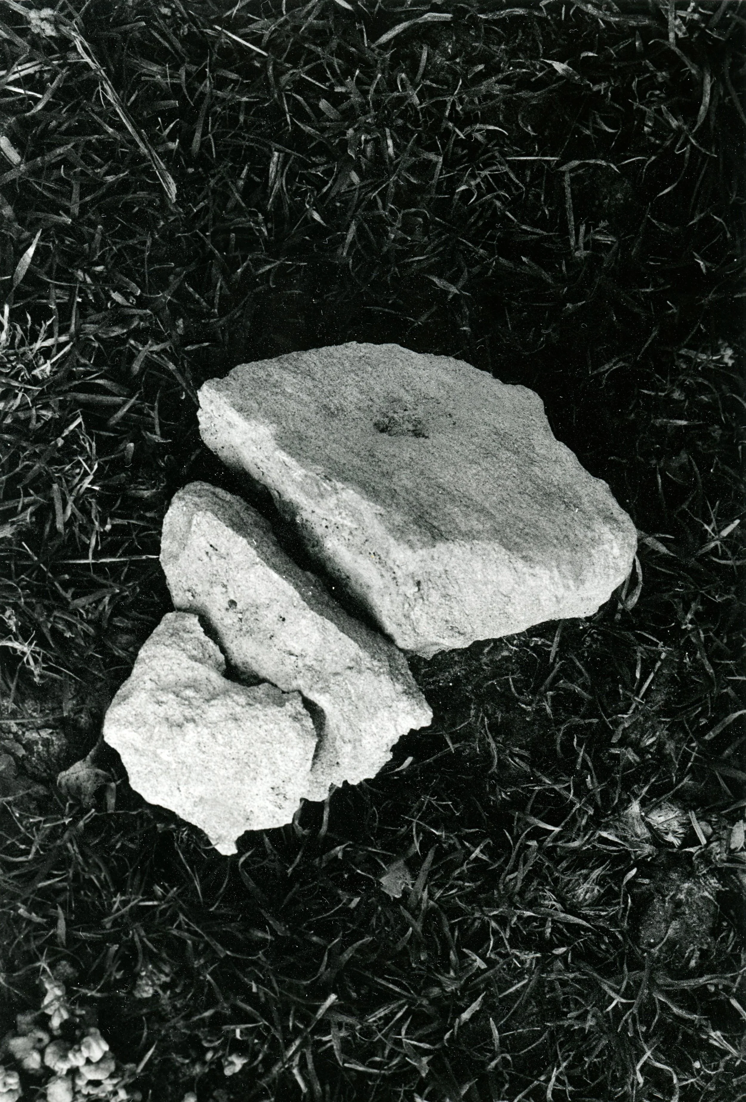 darkroom print 008.jpg