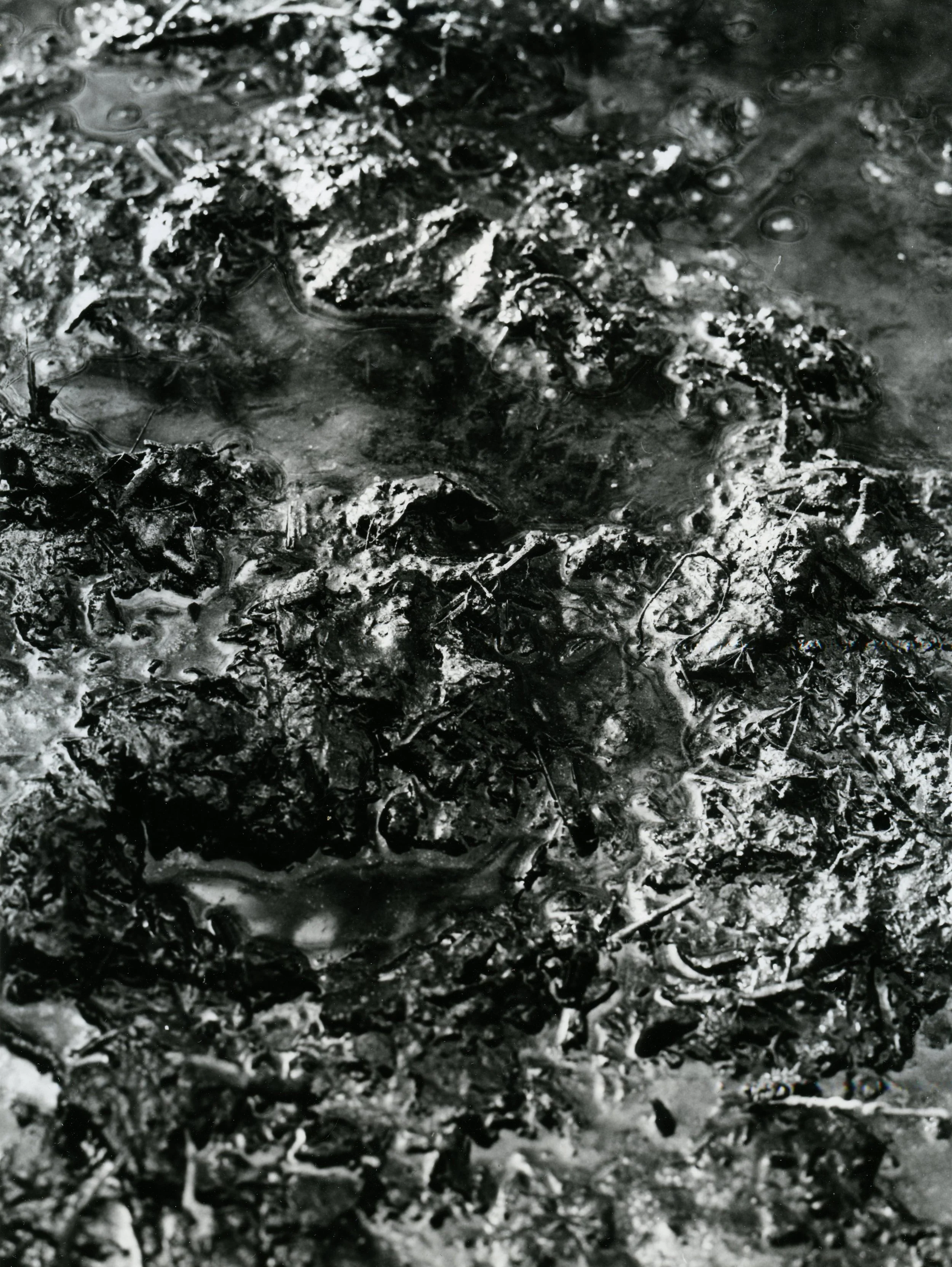 darkroom print 002.jpg