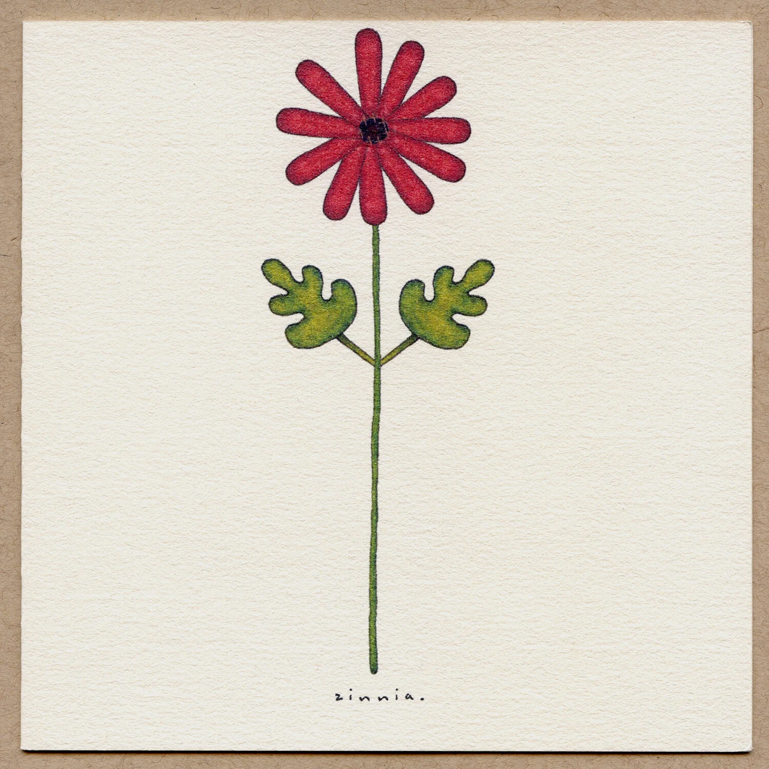 zinnia.jpg