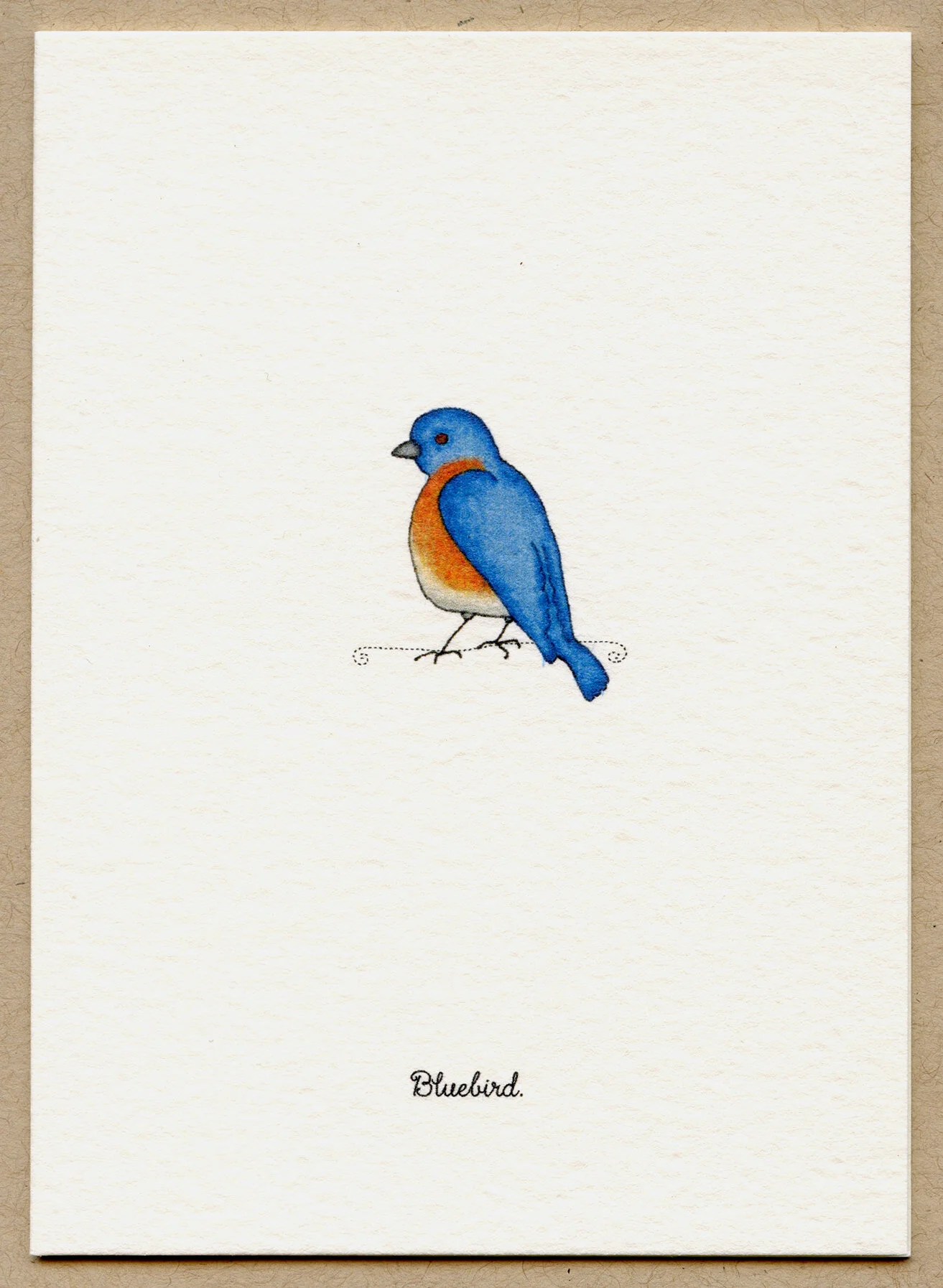 bluebird.jpg