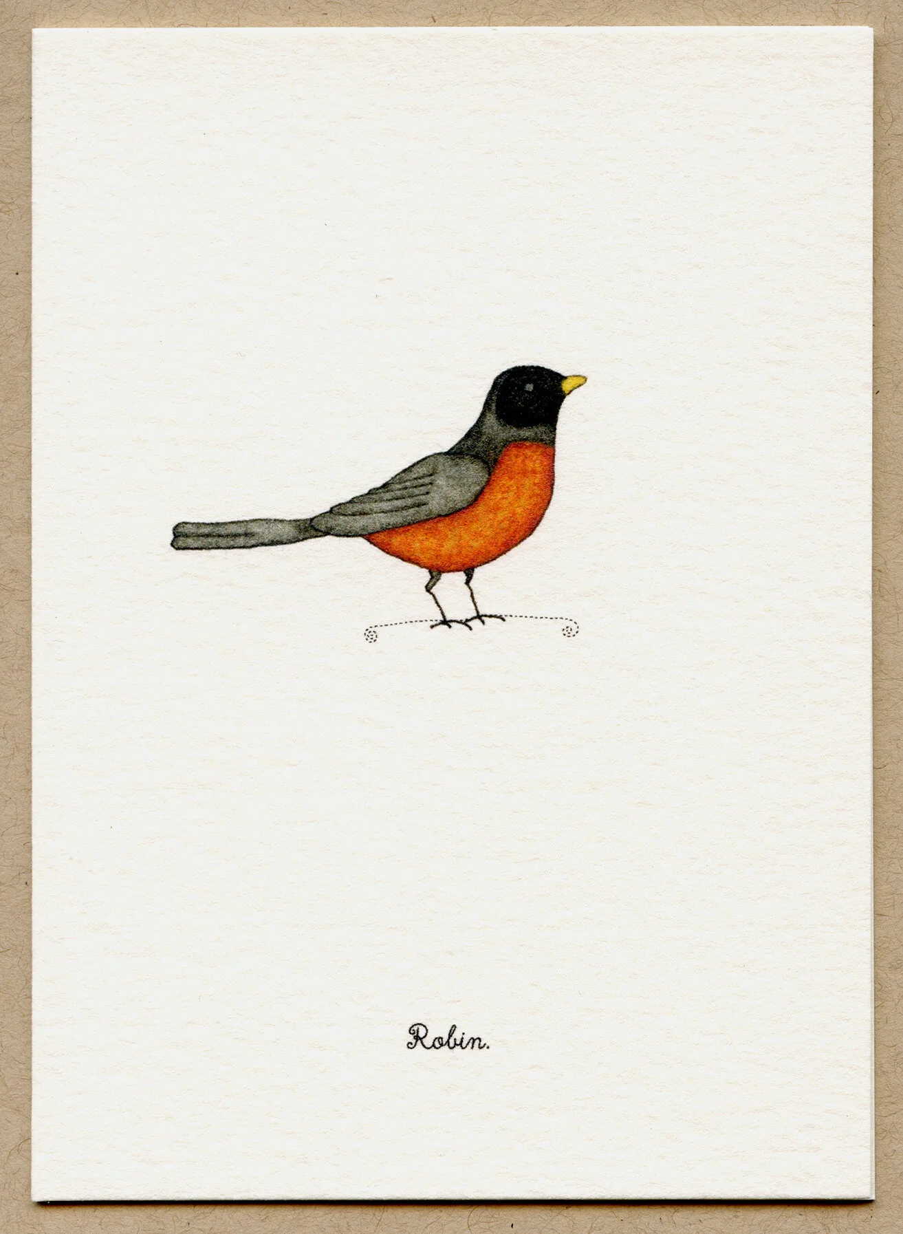 robin.jpg