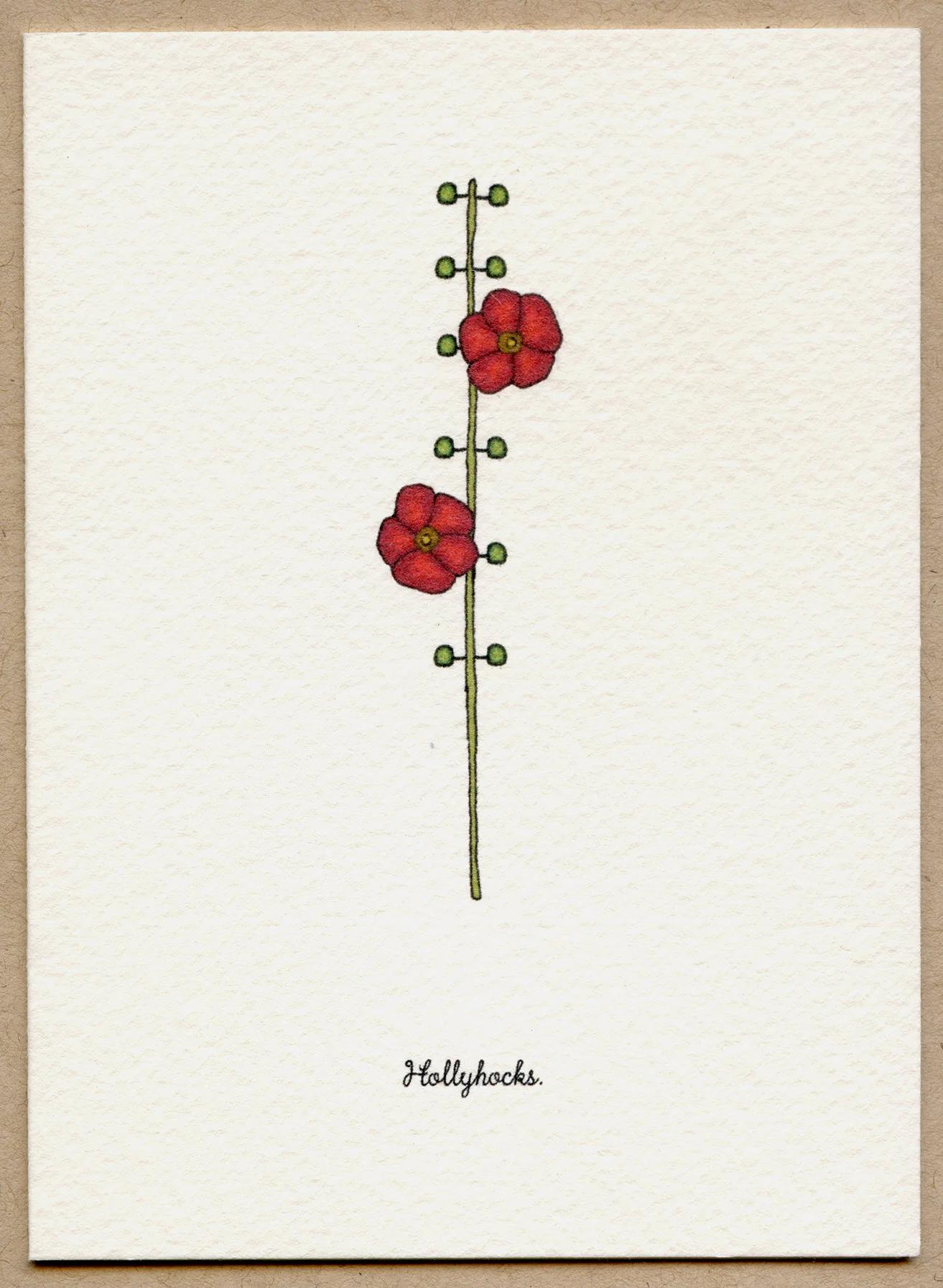 hollyhocks.jpg