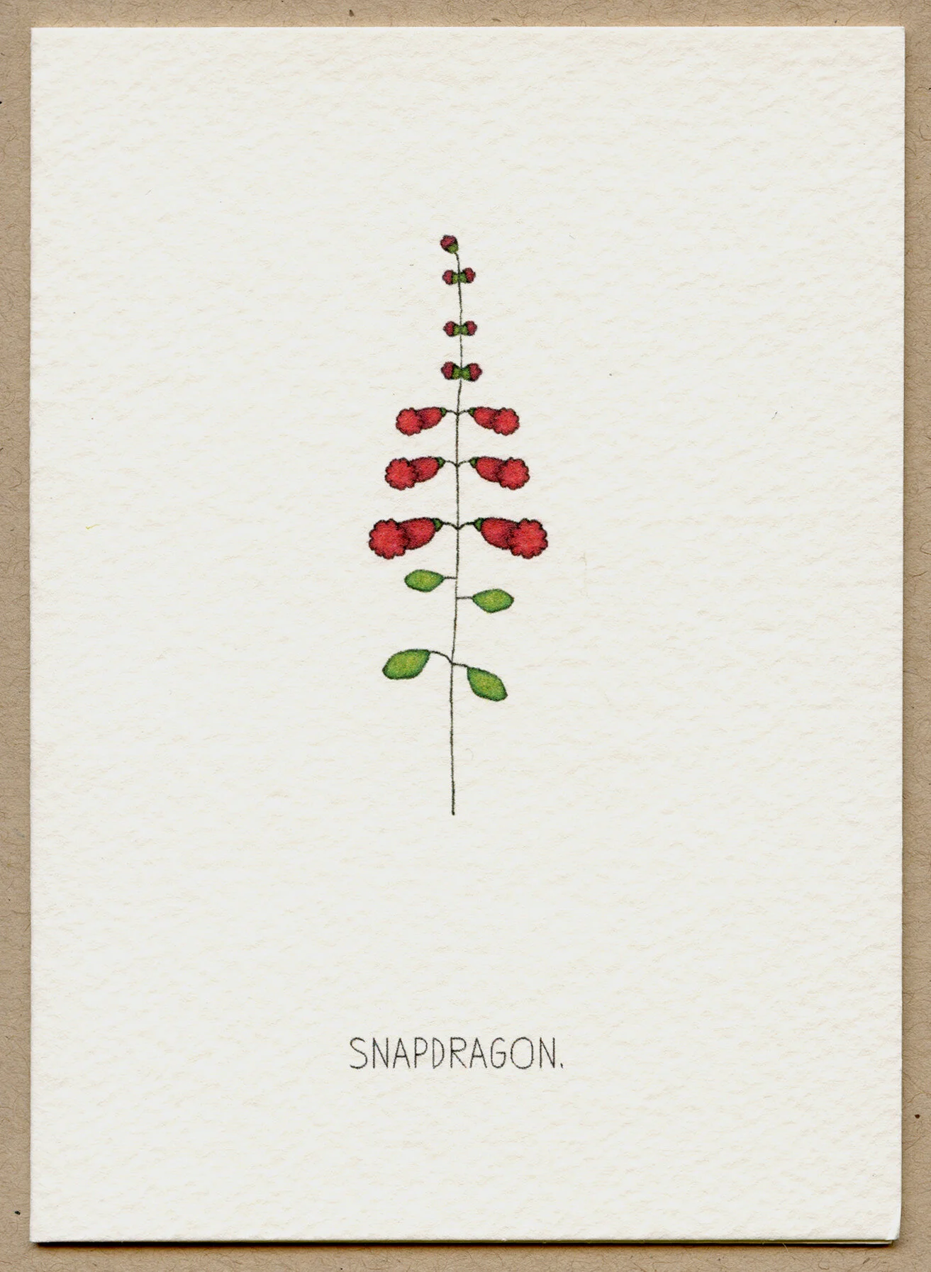 snapdragon.jpg