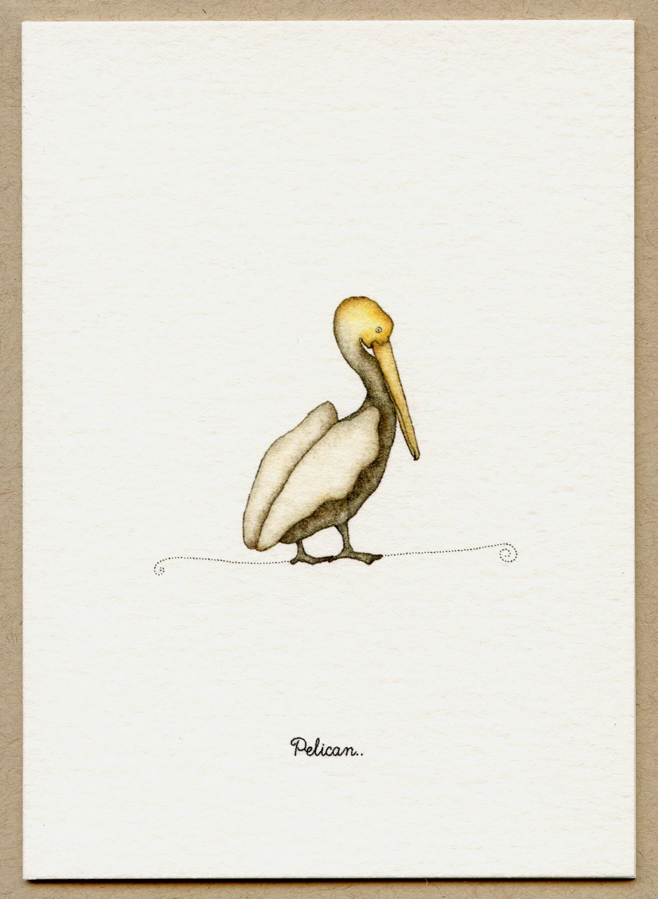 pelican.jpg