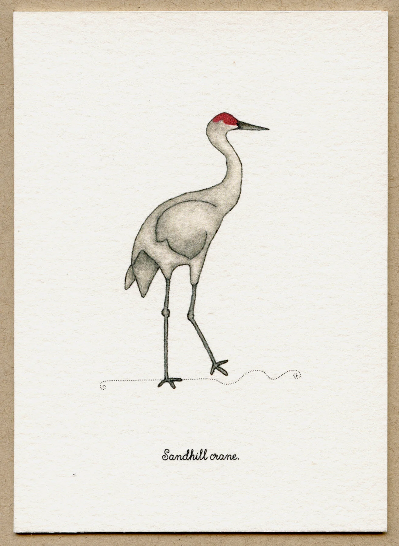 crane.jpg