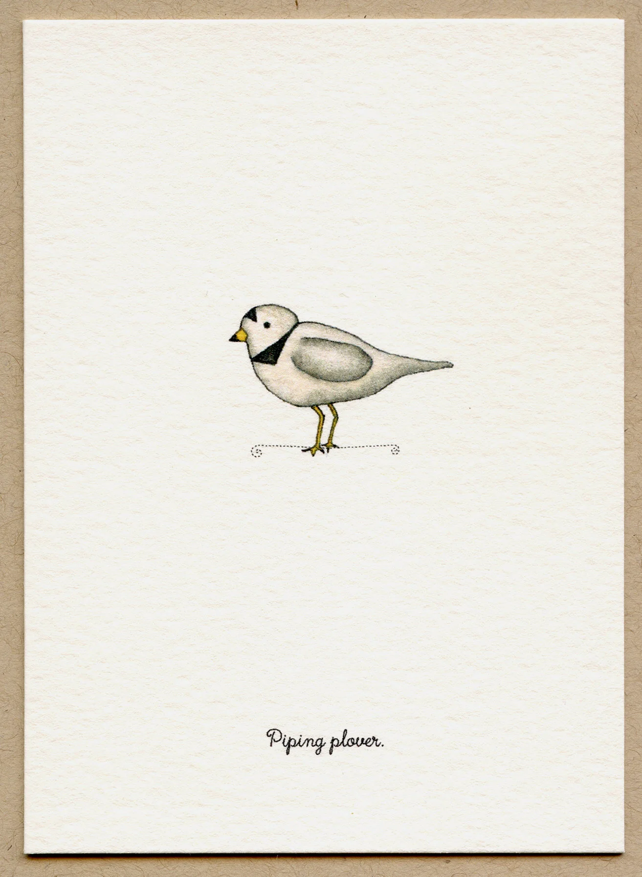 plover.jpg