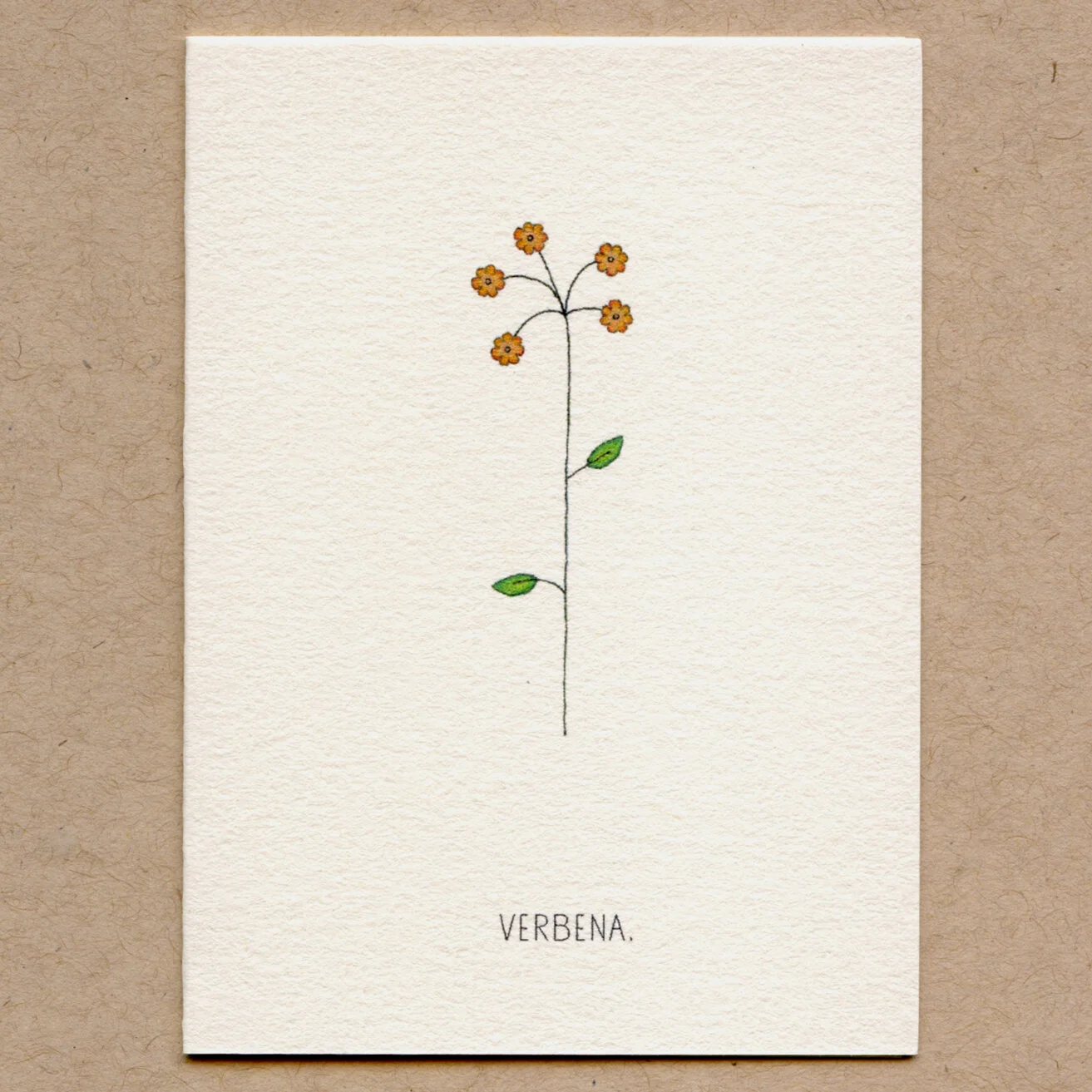 verbena.jpg
