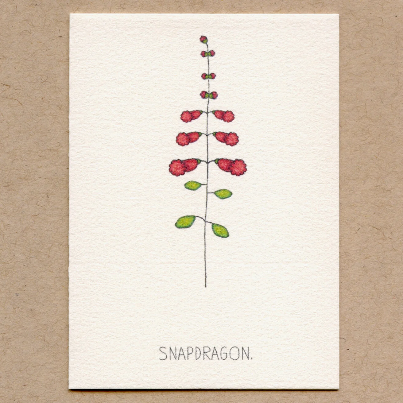 snapdragon.jpg