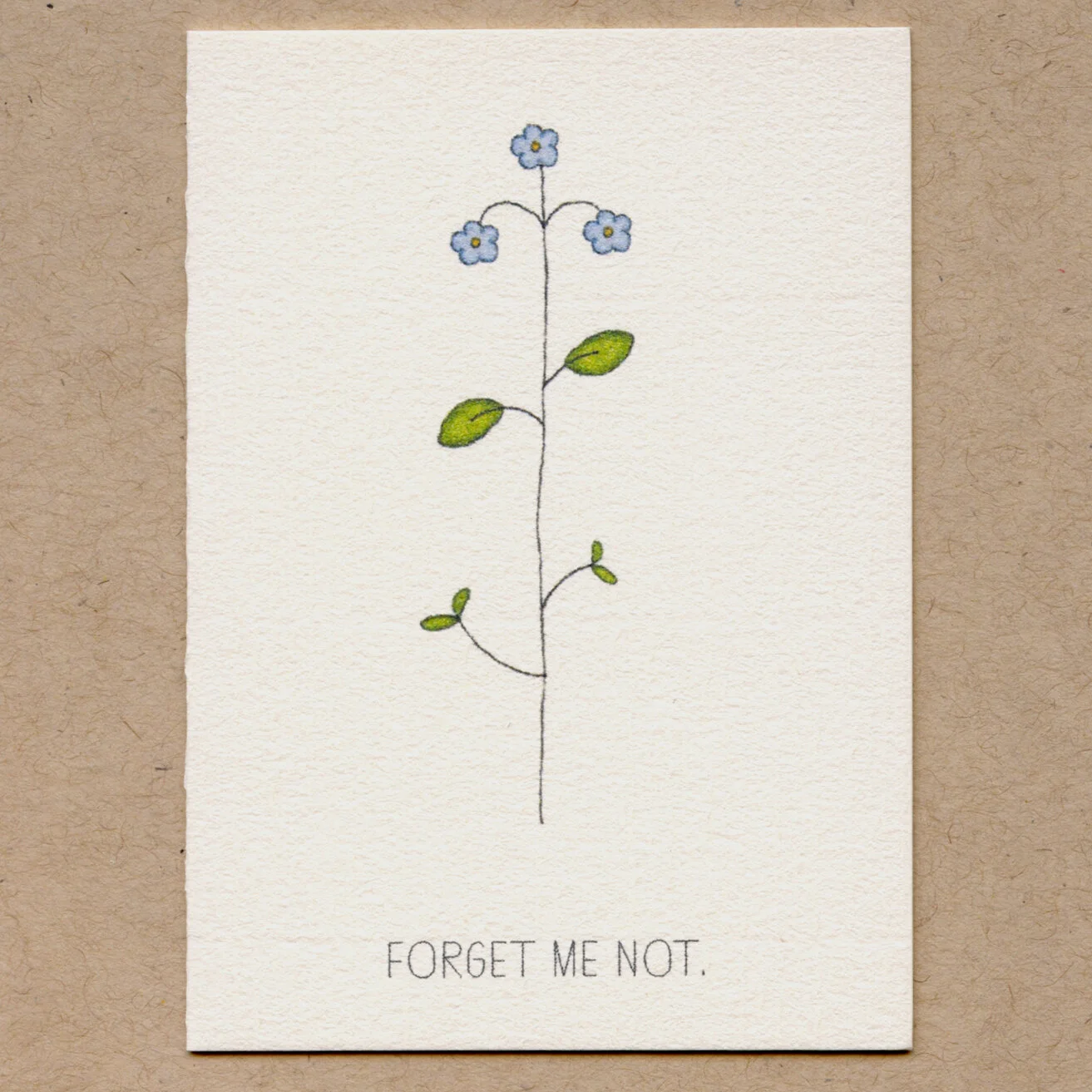 forget me not.jpg