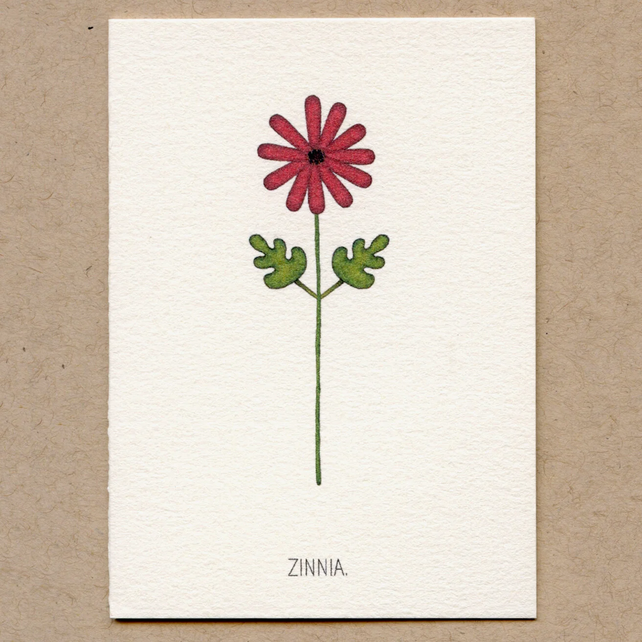 zinnia.jpg