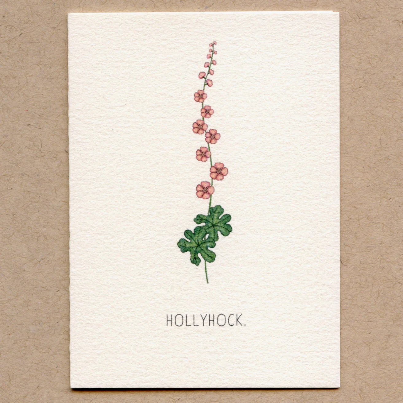 hollyhock.jpg