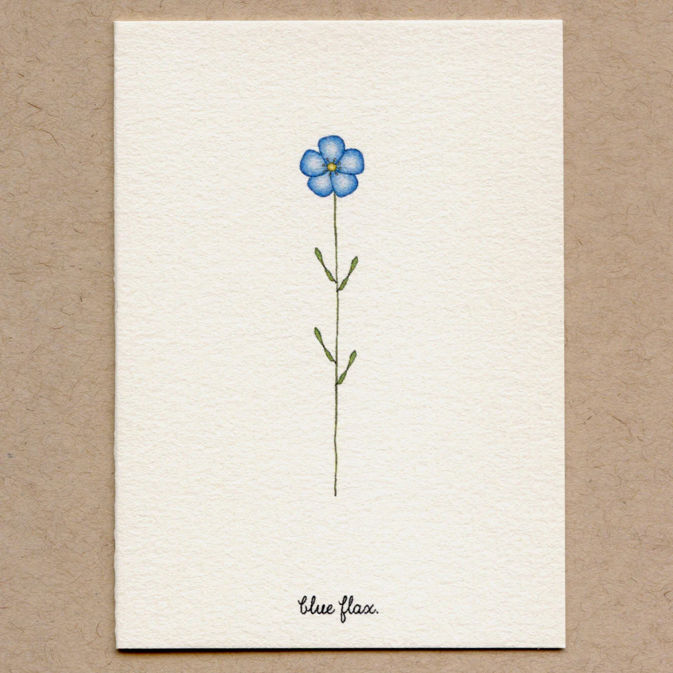 blue flax.jpg