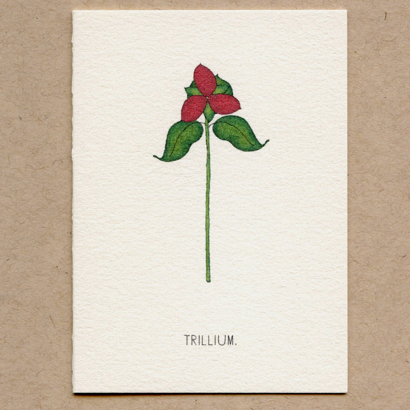 trillium.jpg
