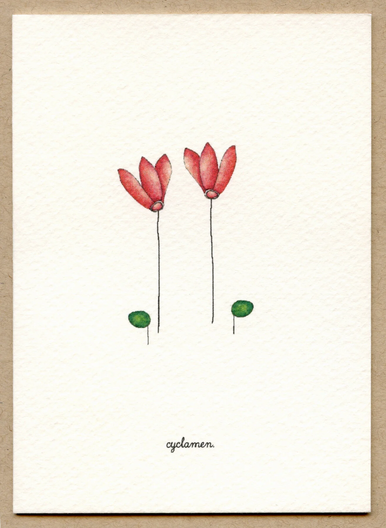 cyclamen.jpg