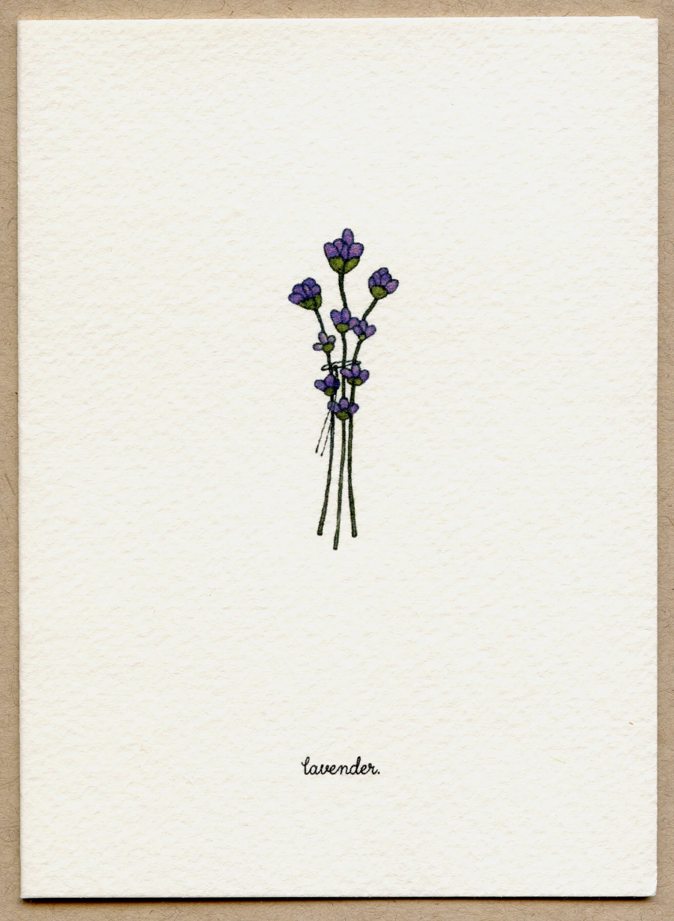 lavender.jpg