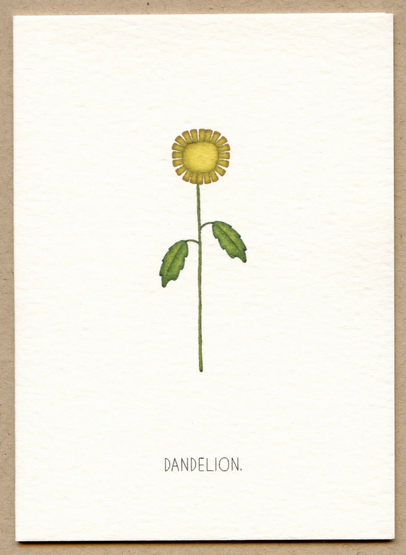 dandelion.jpg