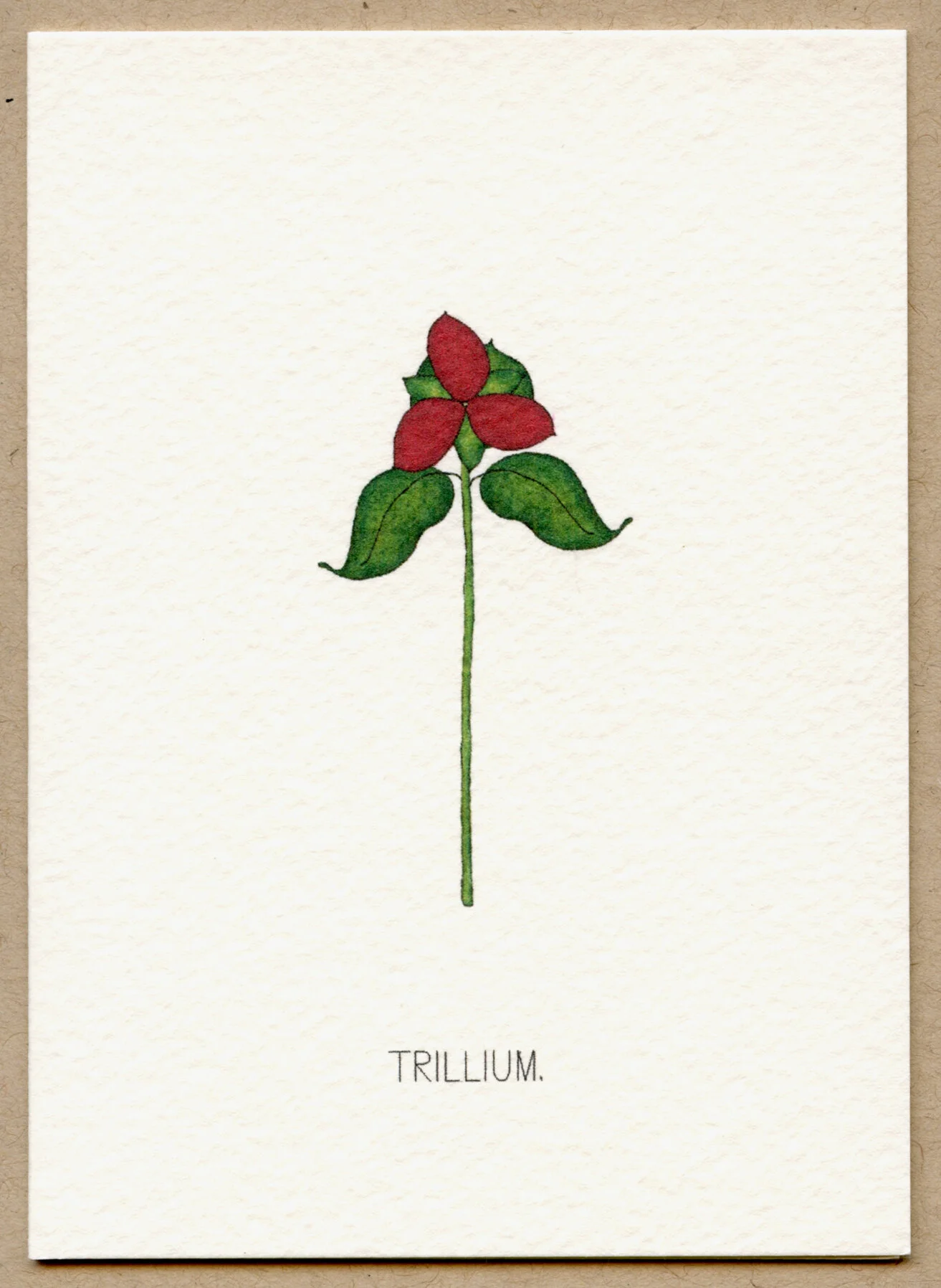 trillium.jpg