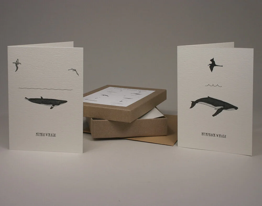whales20201102.jpg