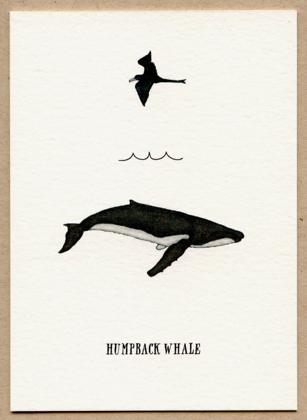 humpback.jpg