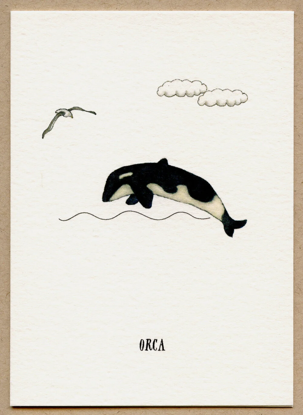 orca.jpg
