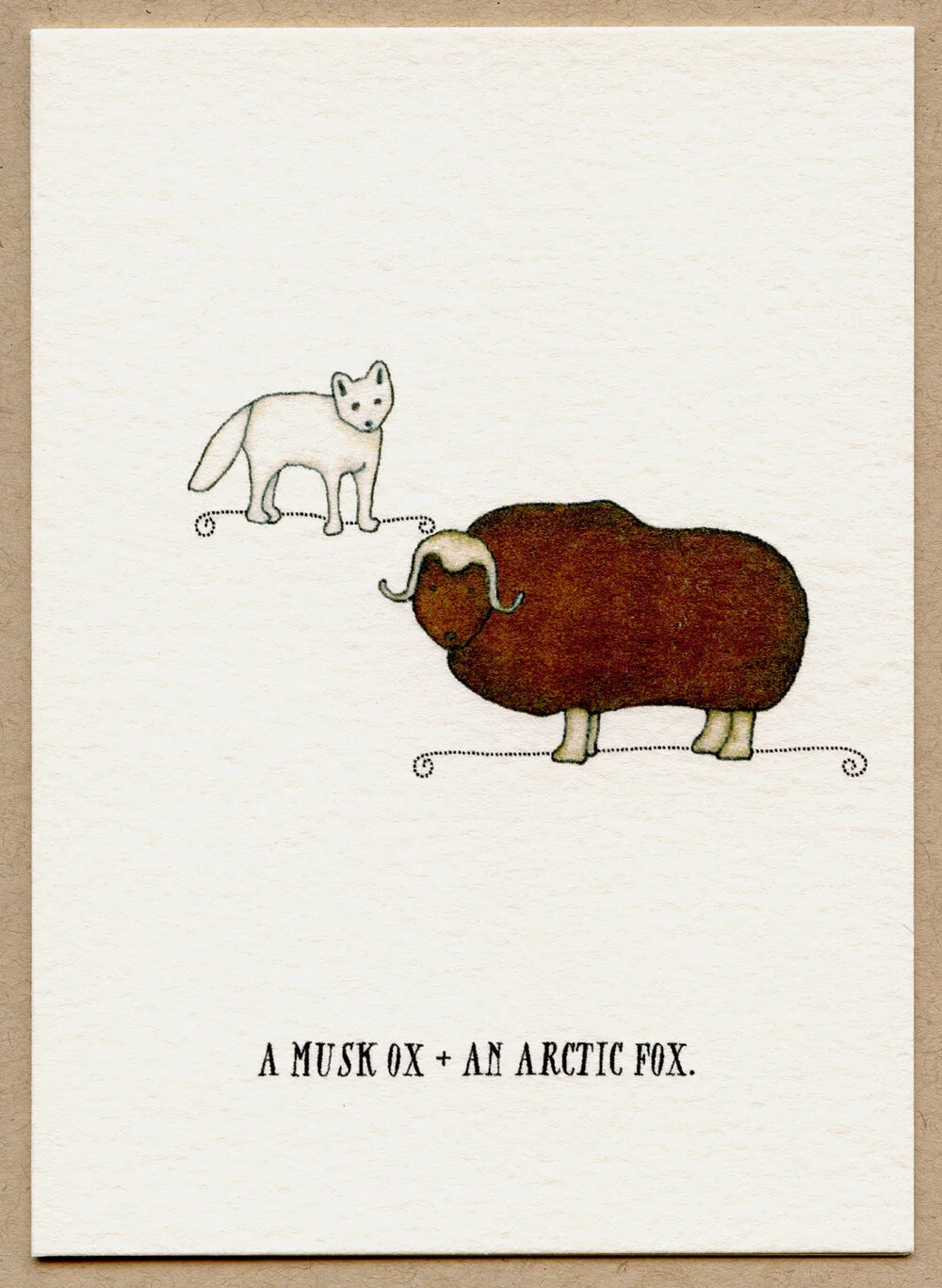 musk_ox.jpg