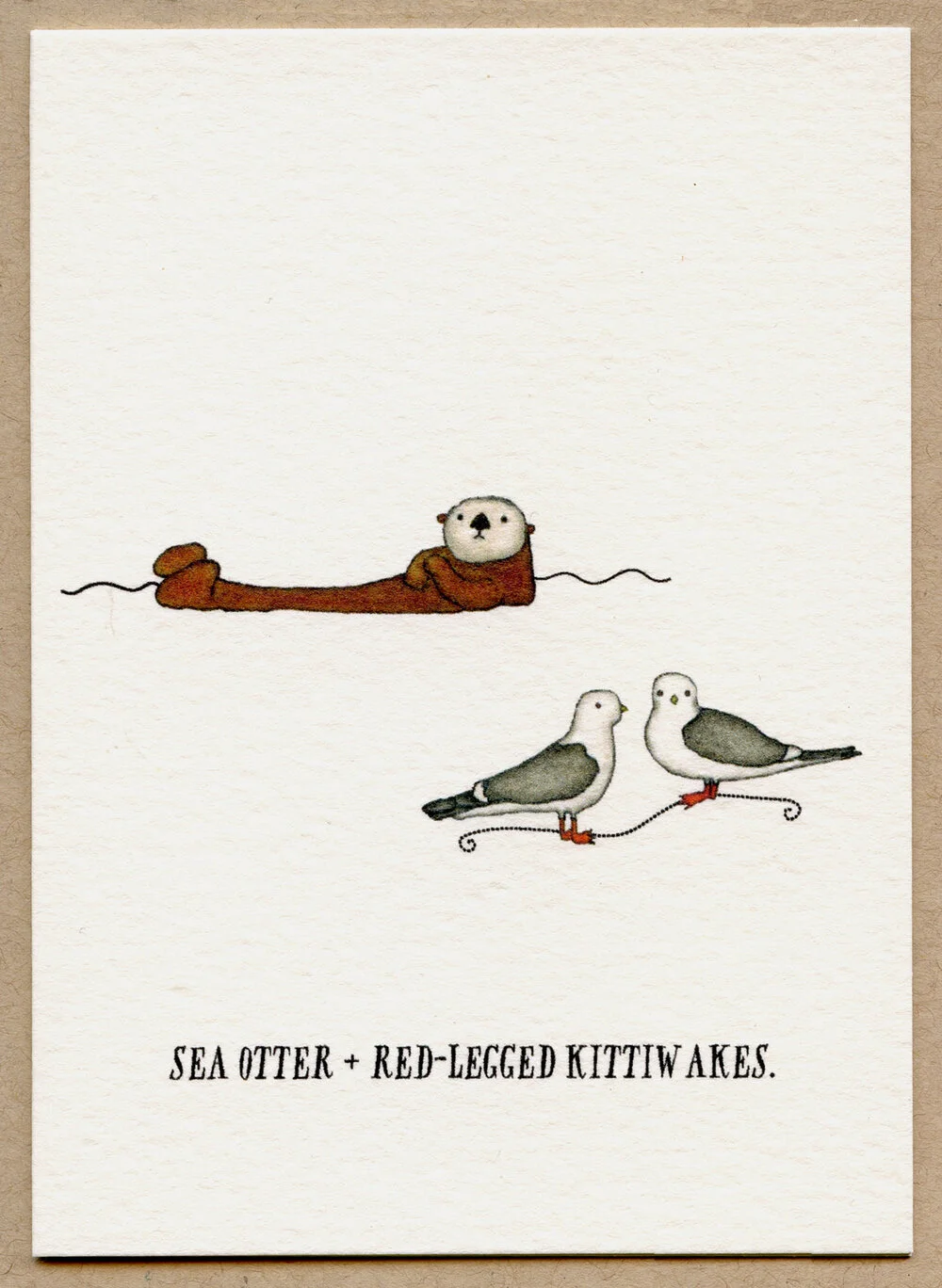 sea_otter.jpg
