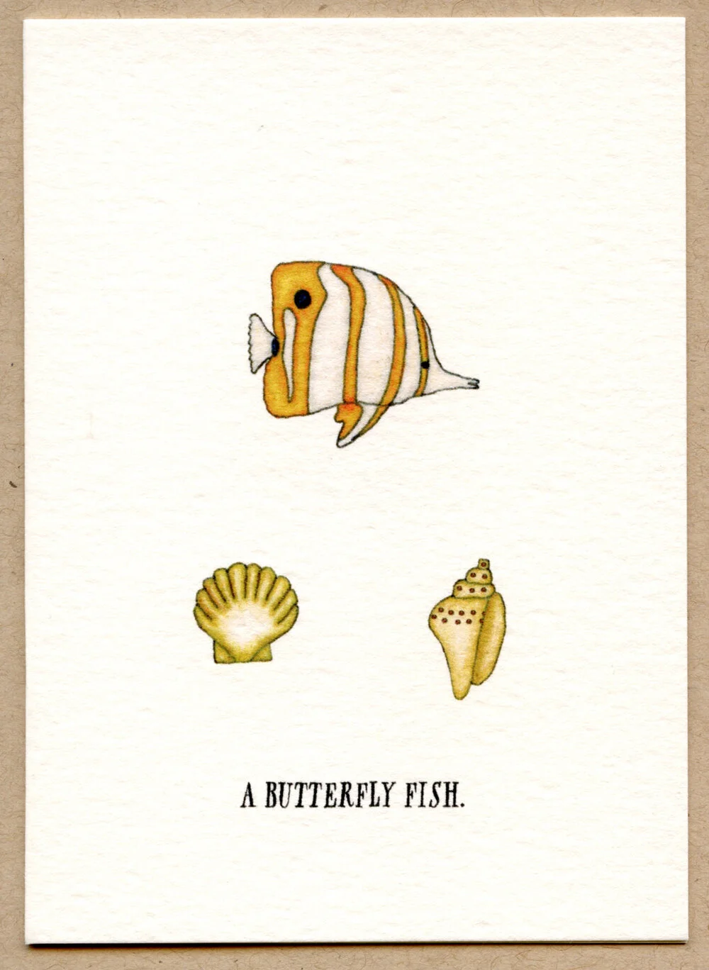 butterfly_fish.jpg