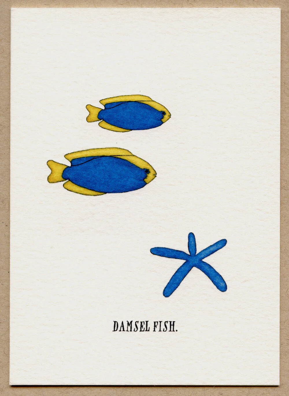 damsel_fish.jpg