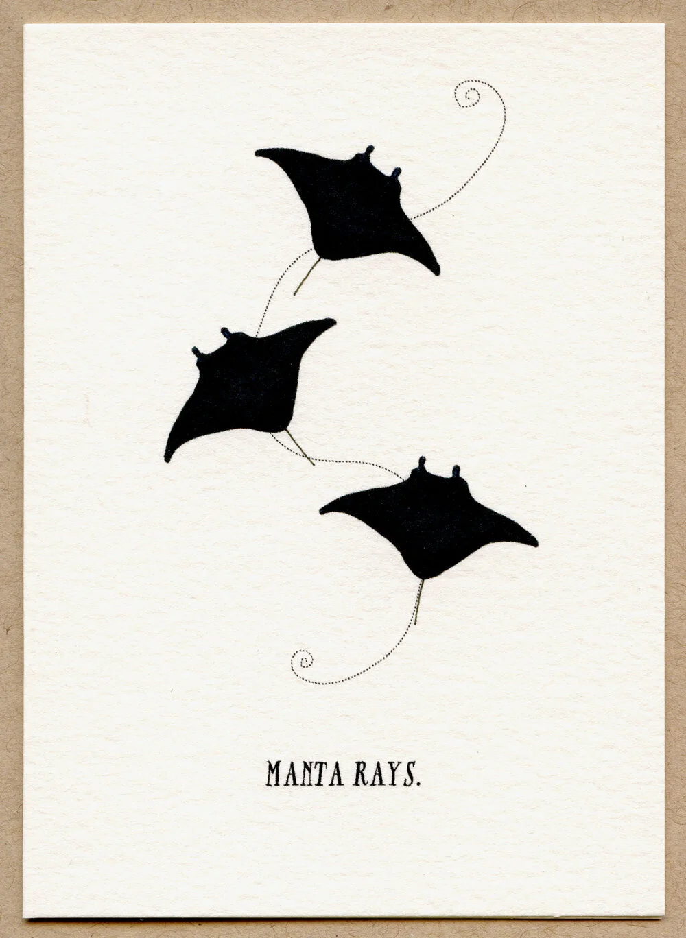 manta_rays.jpg