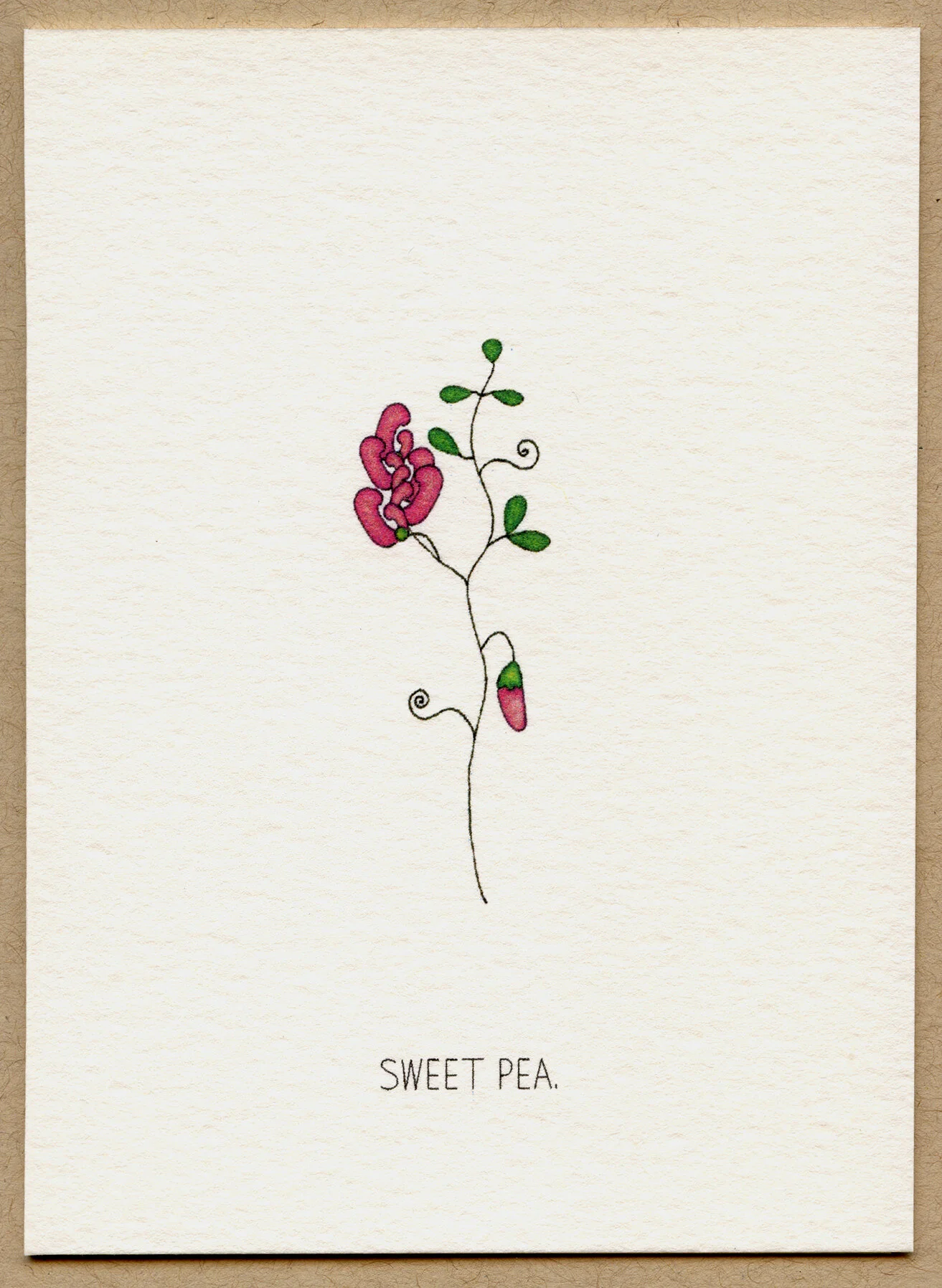 sweet_pea.jpg