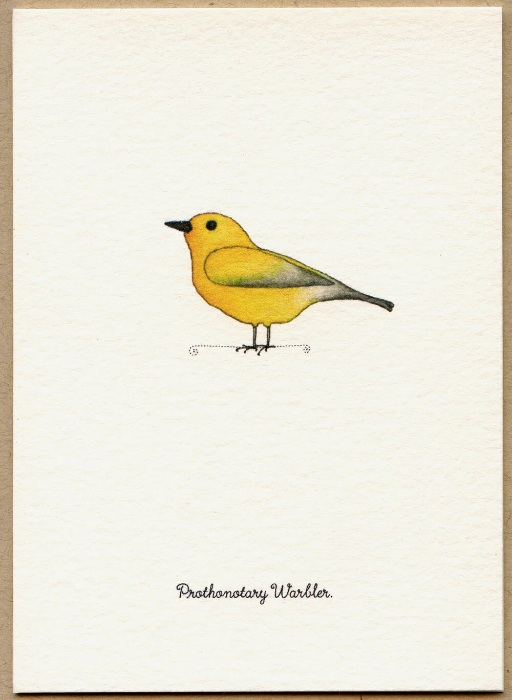warbler.jpg
