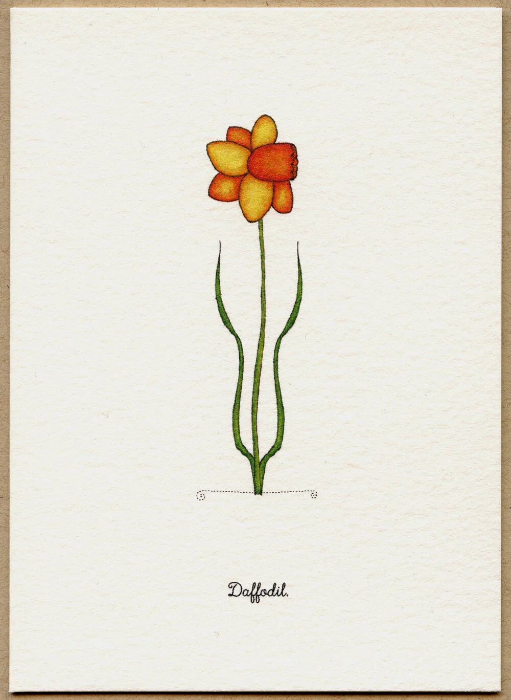 daffodil.jpg