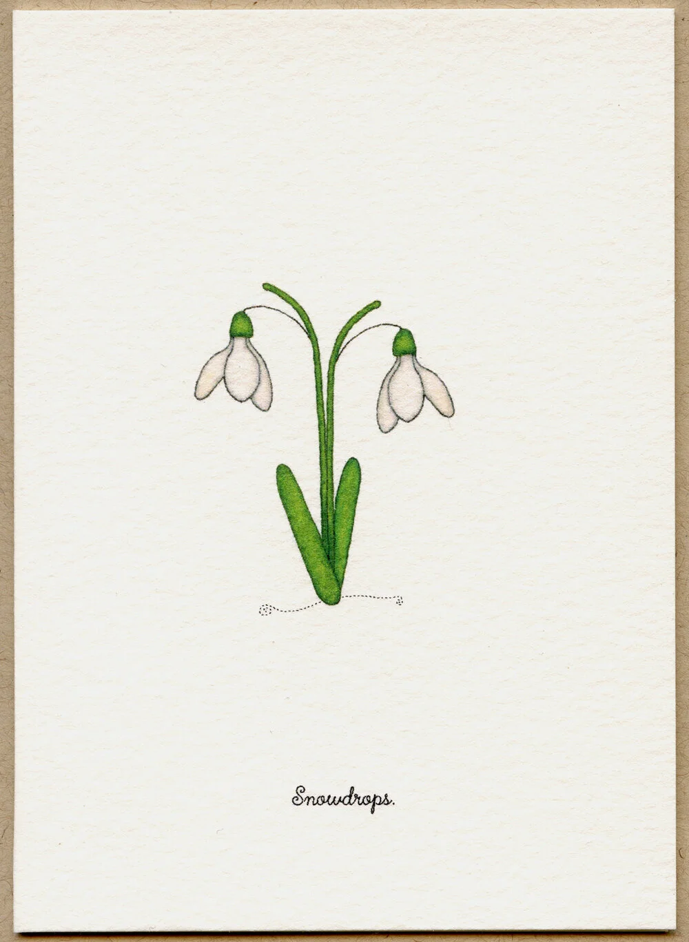 snowdrops.jpg