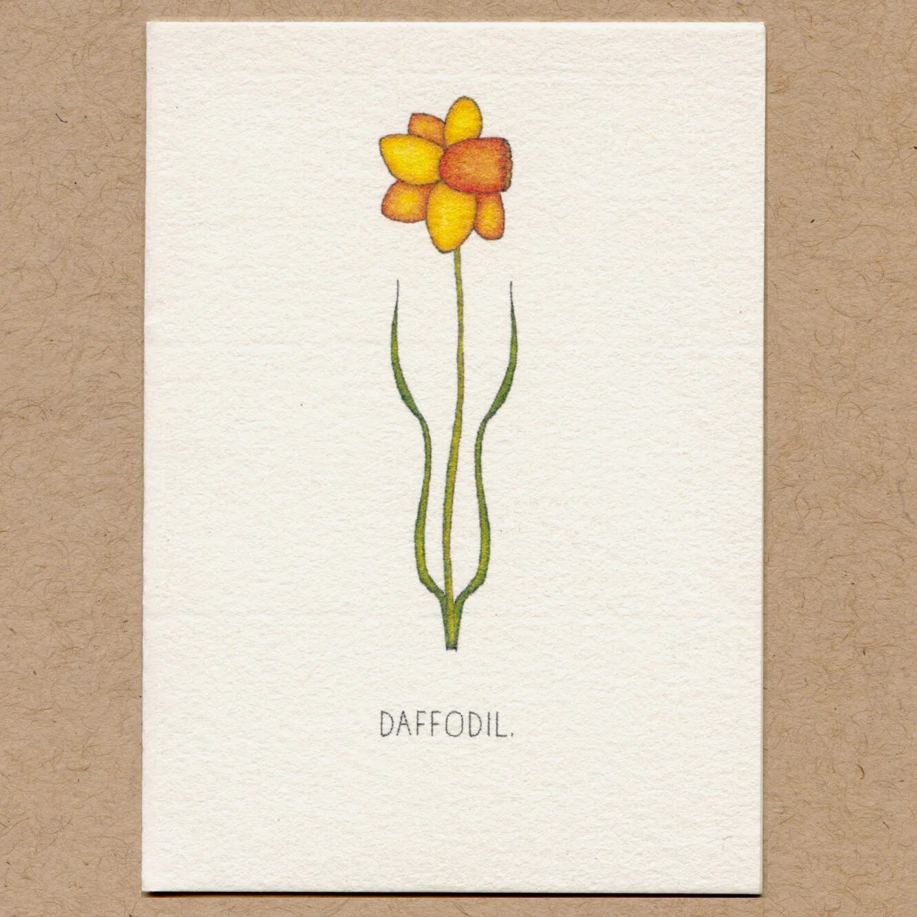 daffodil.jpg