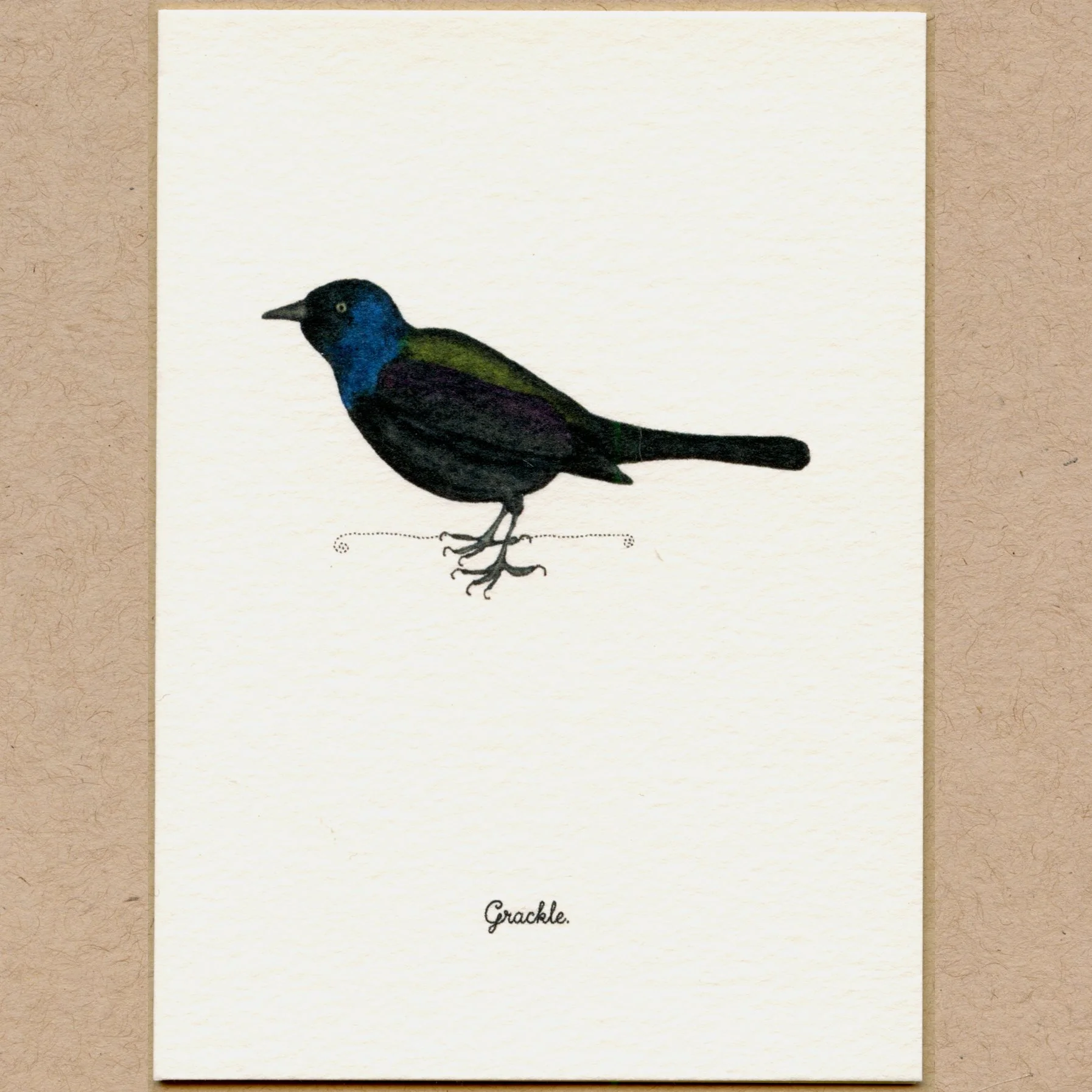 bird_r.jpg