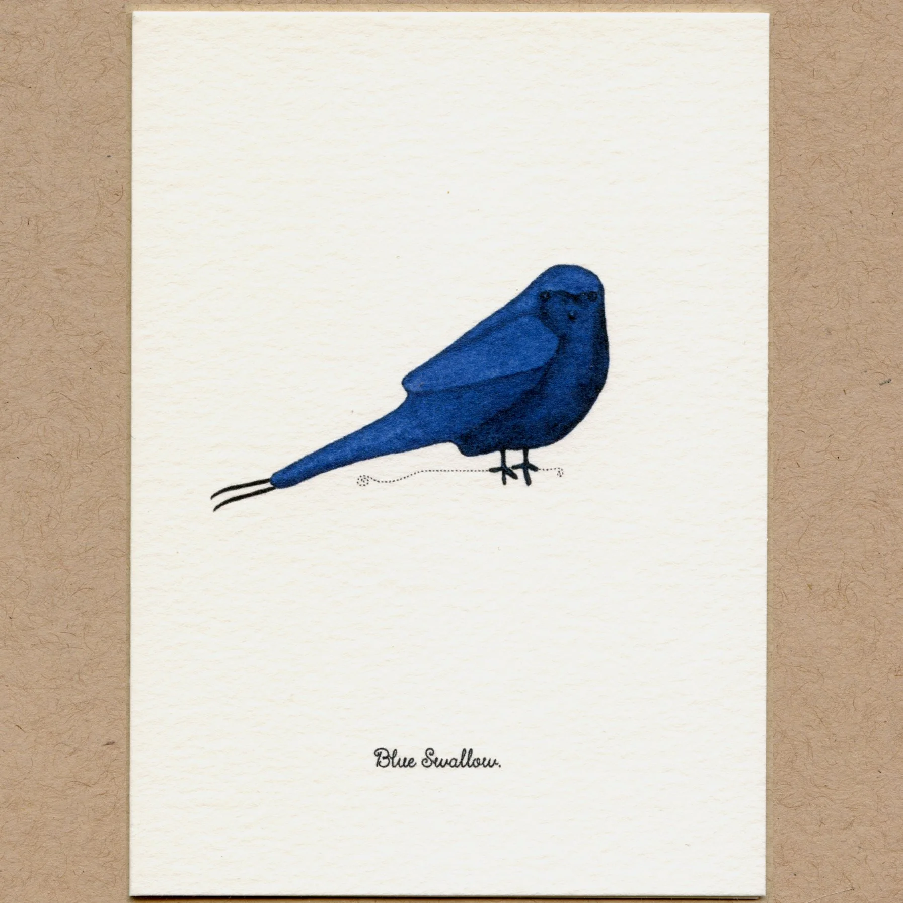 bird_b.jpg