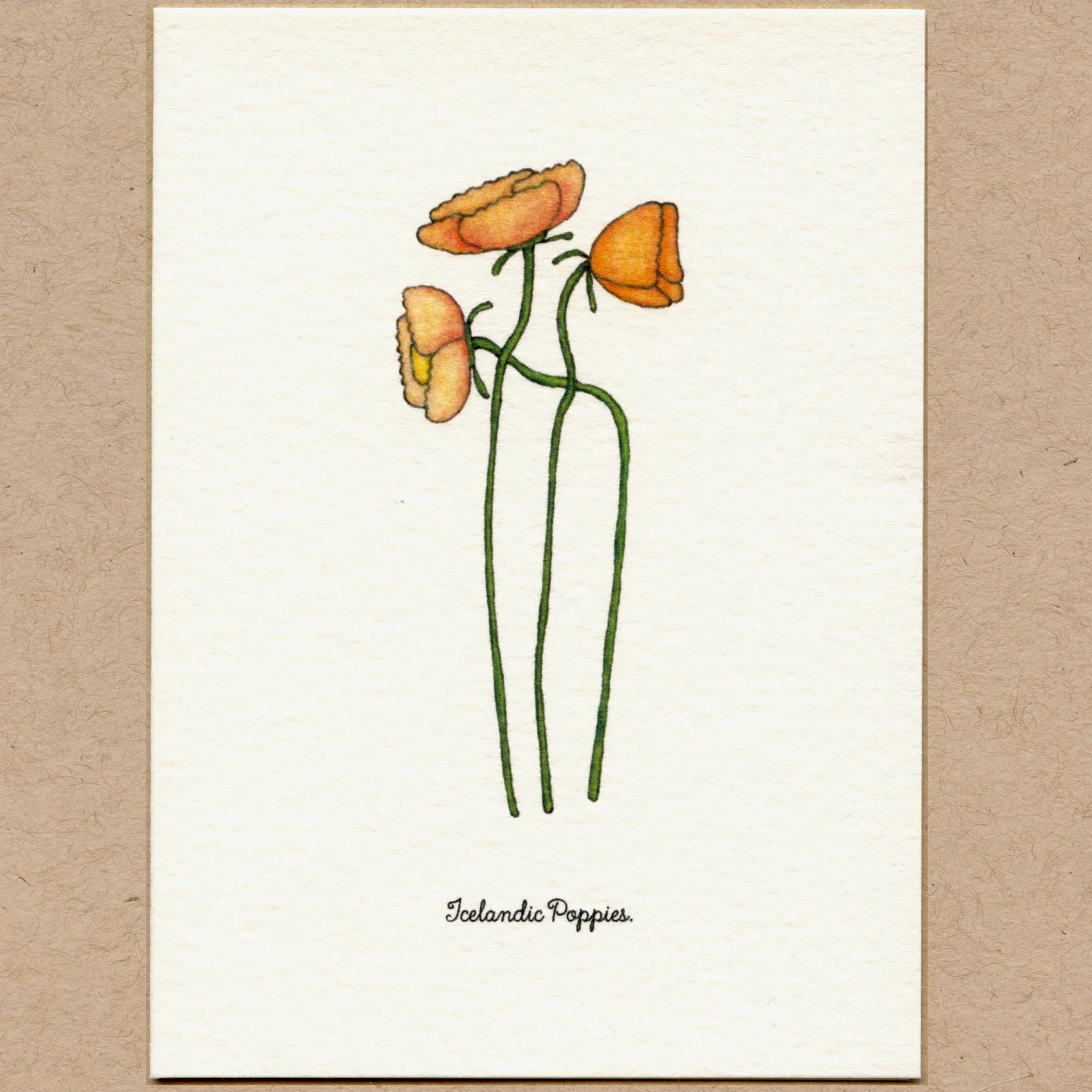 flowers_ip.jpg