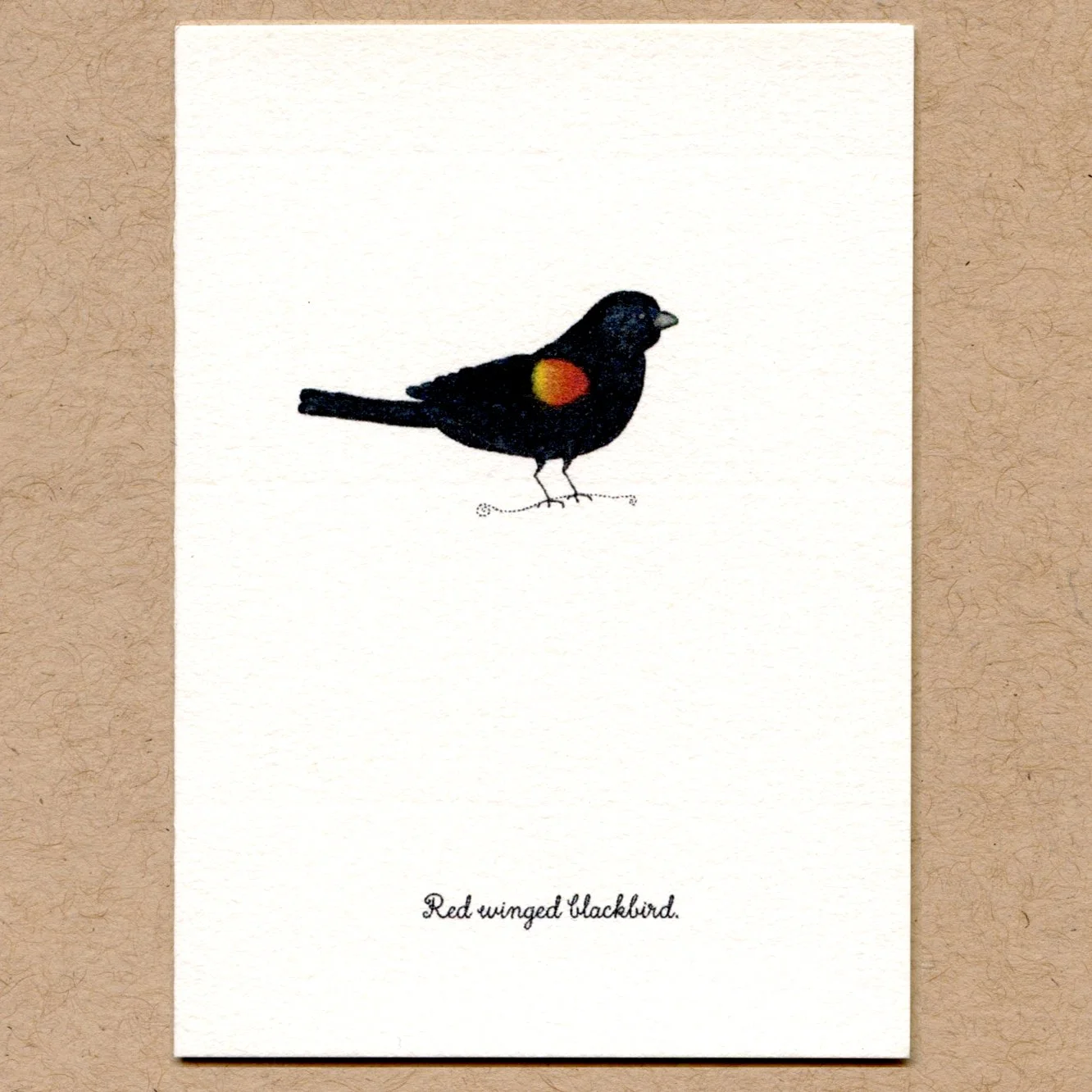 rw_blackbird.jpg
