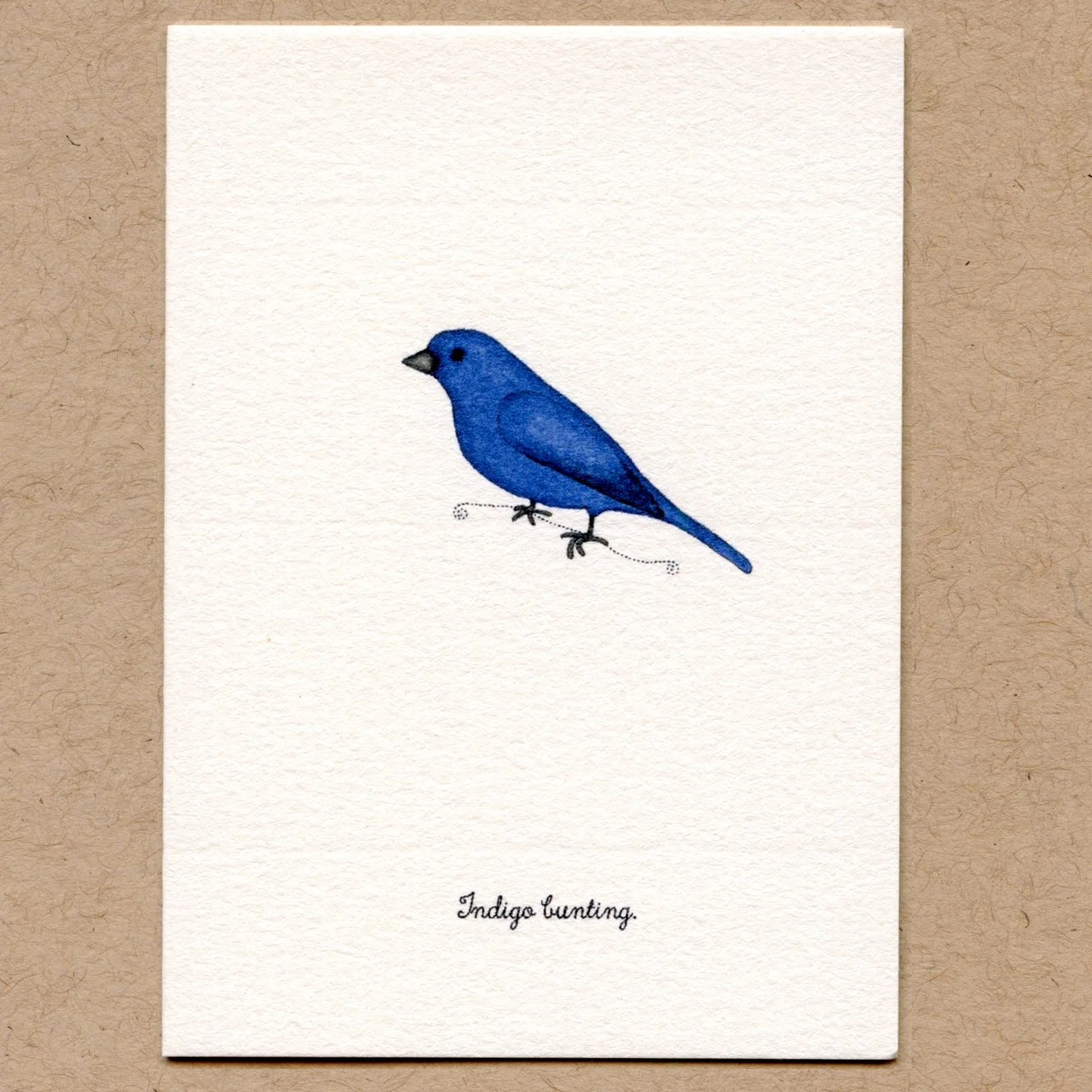 indigo_bunting.jpg