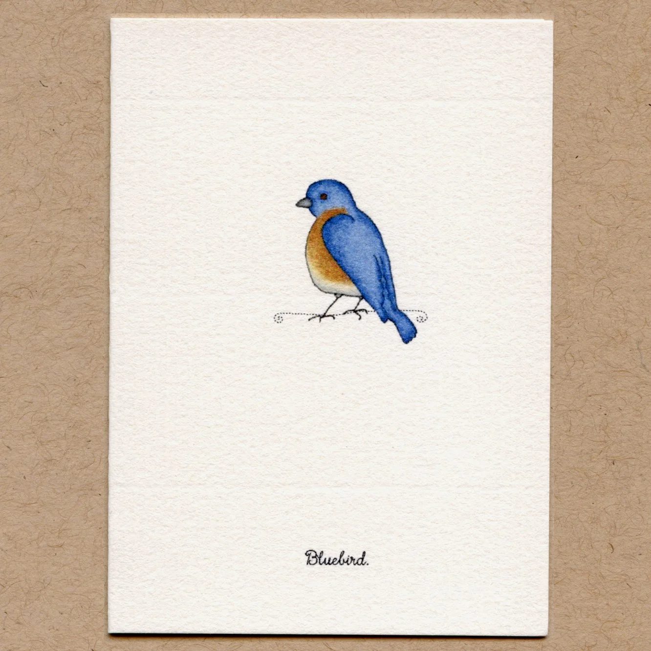 bluebird.jpg