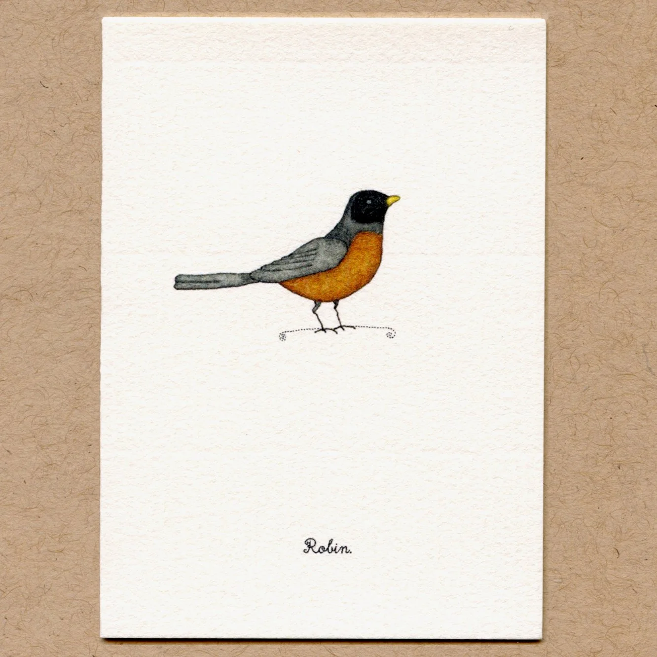 robin.jpg