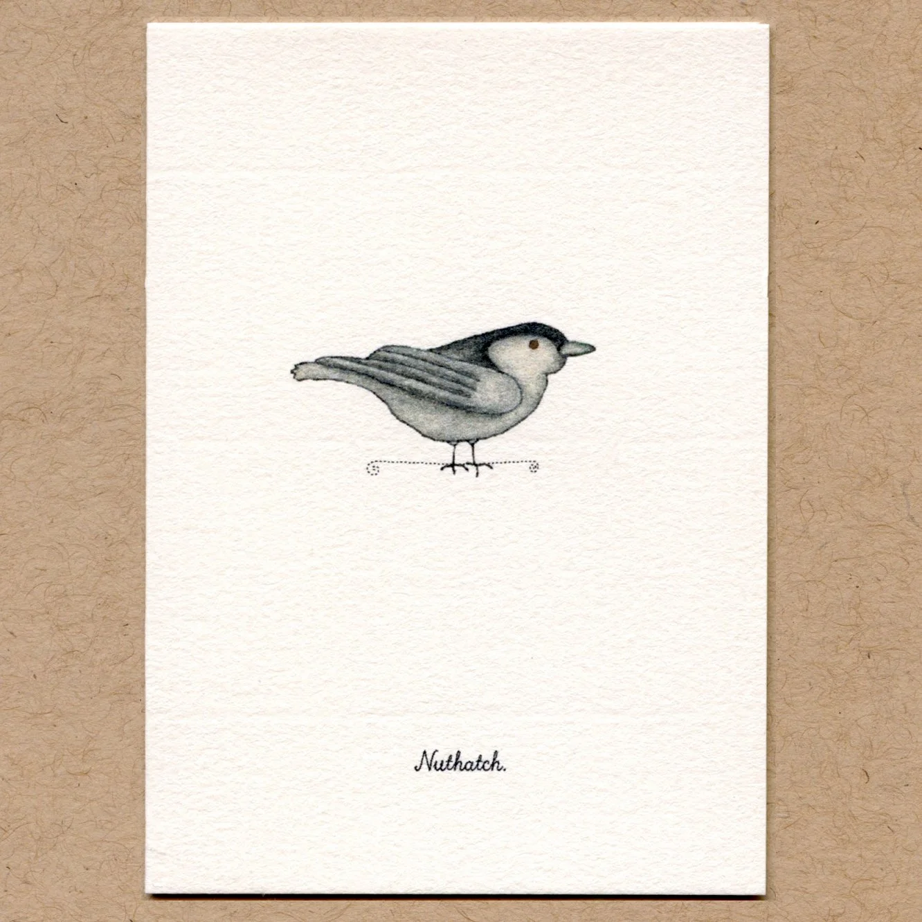 nuthatch.jpg
