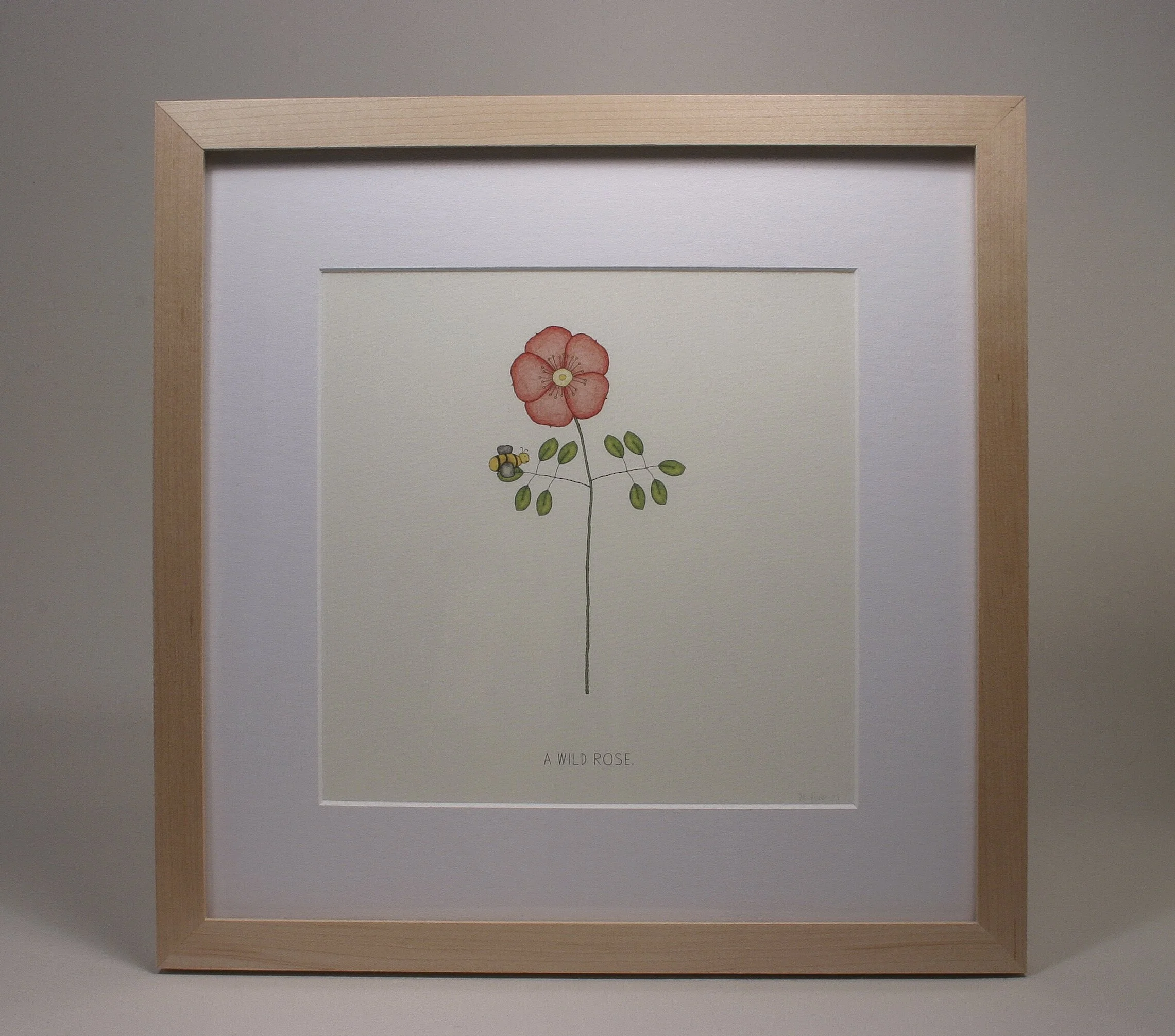 a_wild_rose.jpg