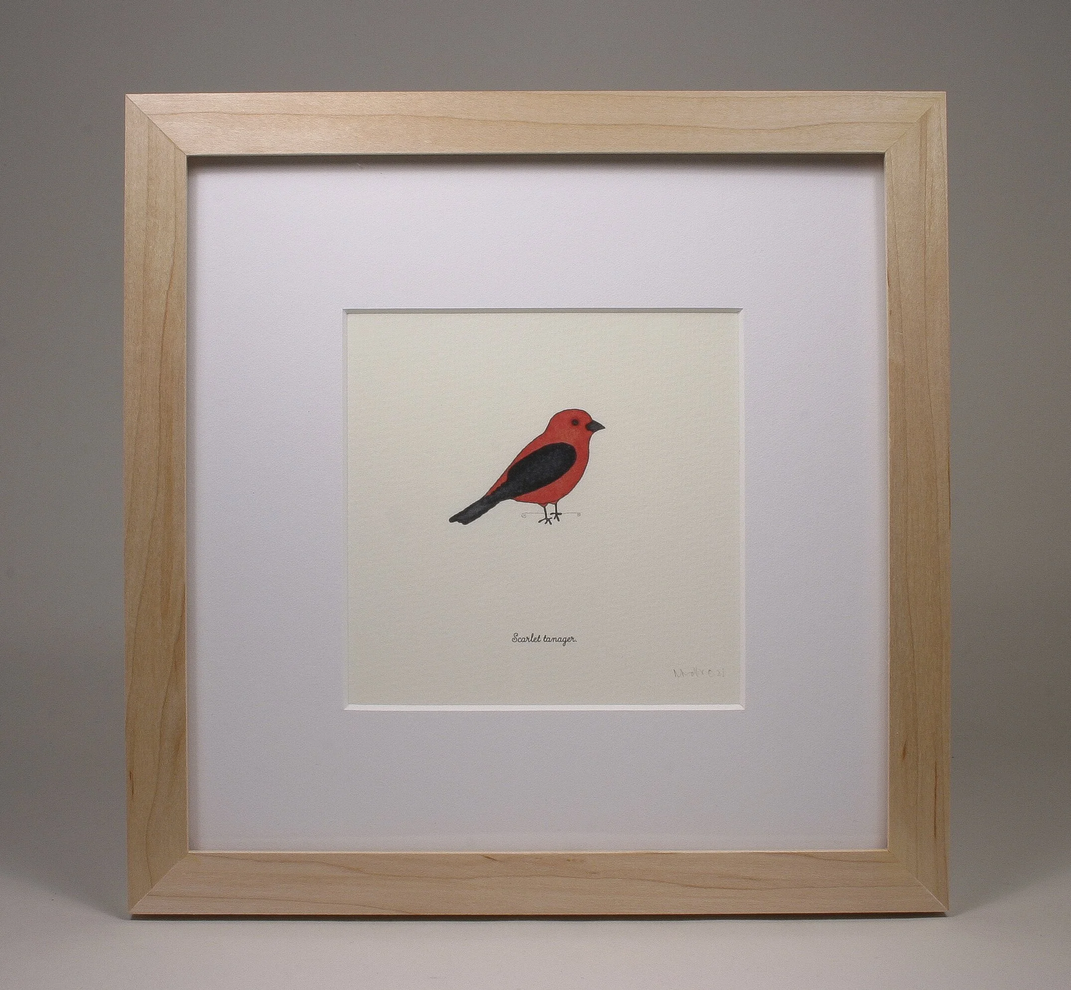 scarlet_tanager.jpg