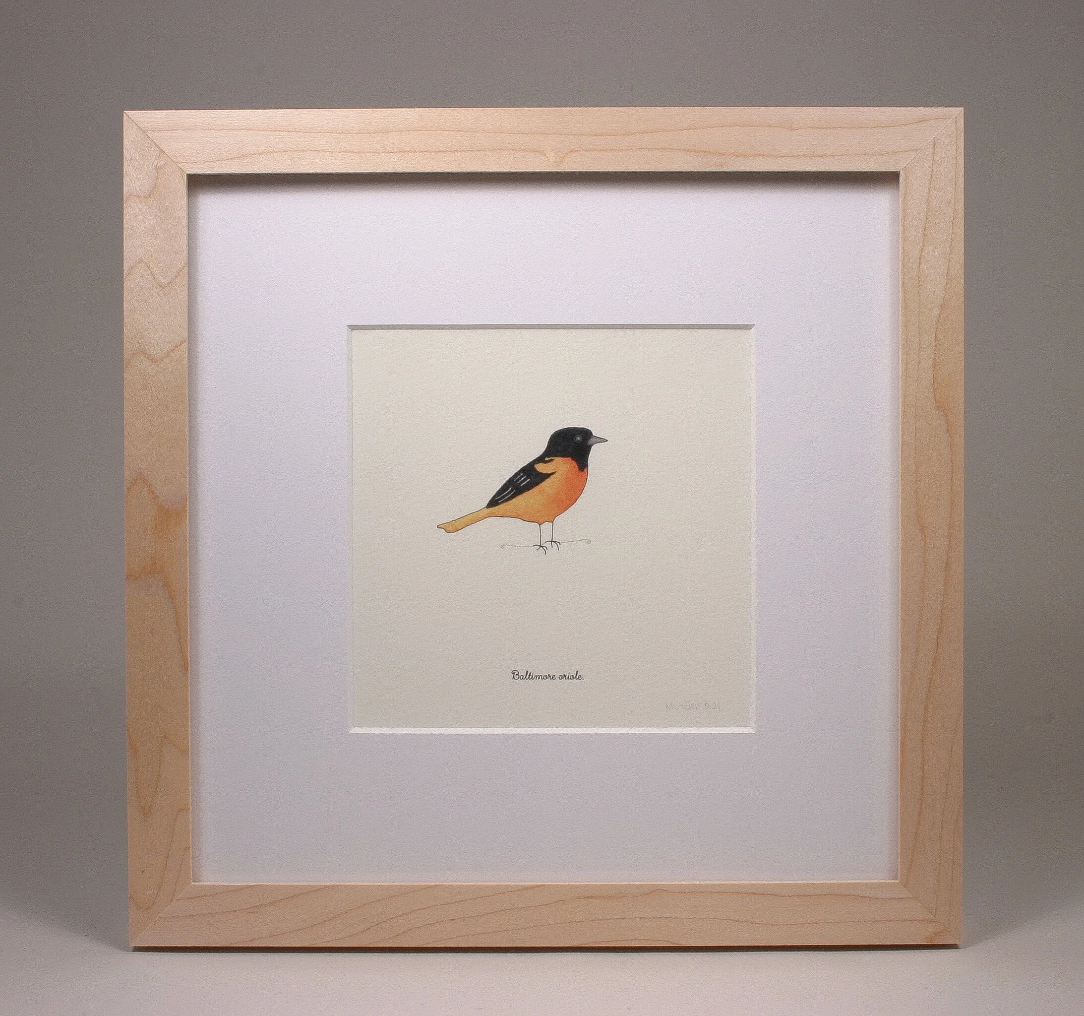 oriole.jpg