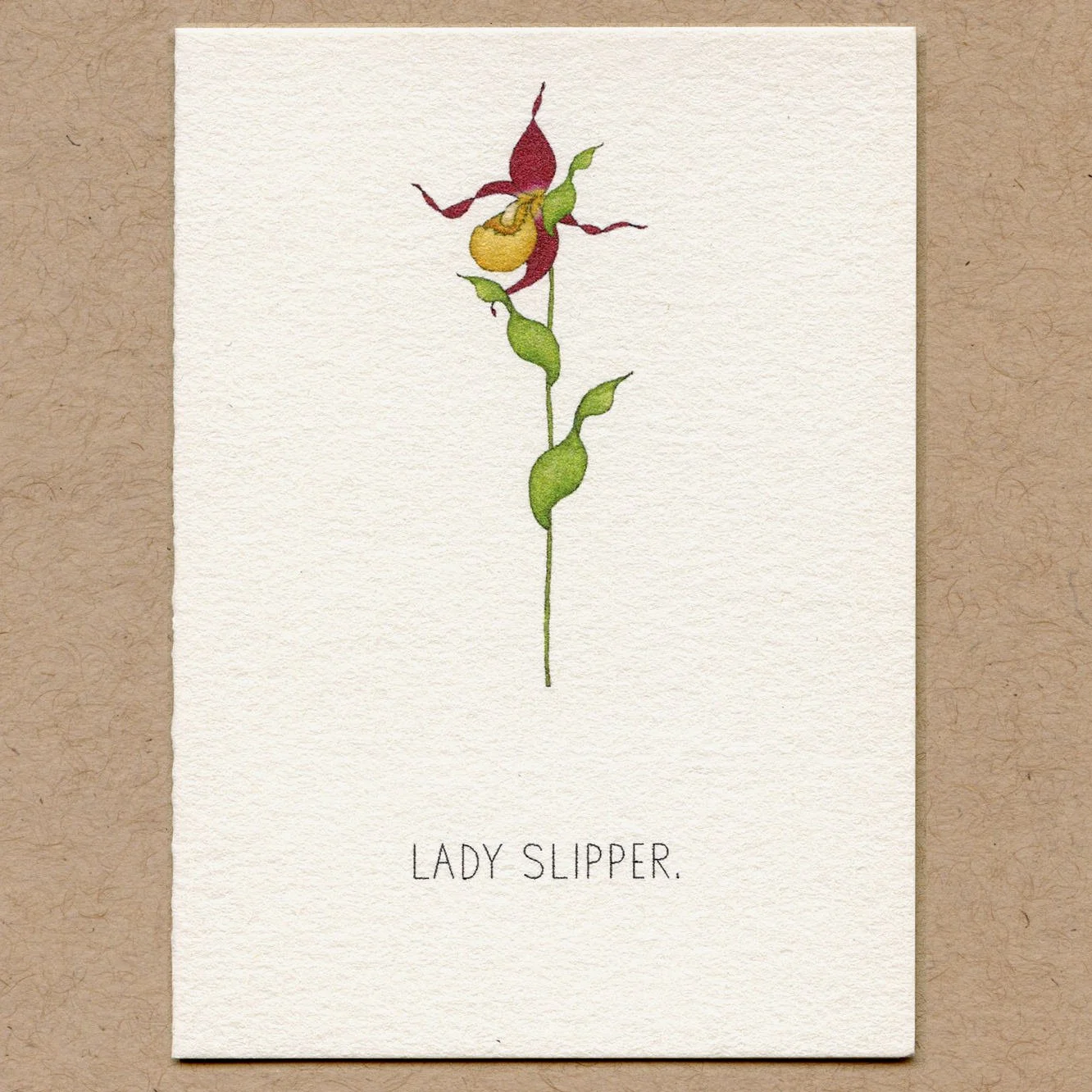 lady_slipper.jpg