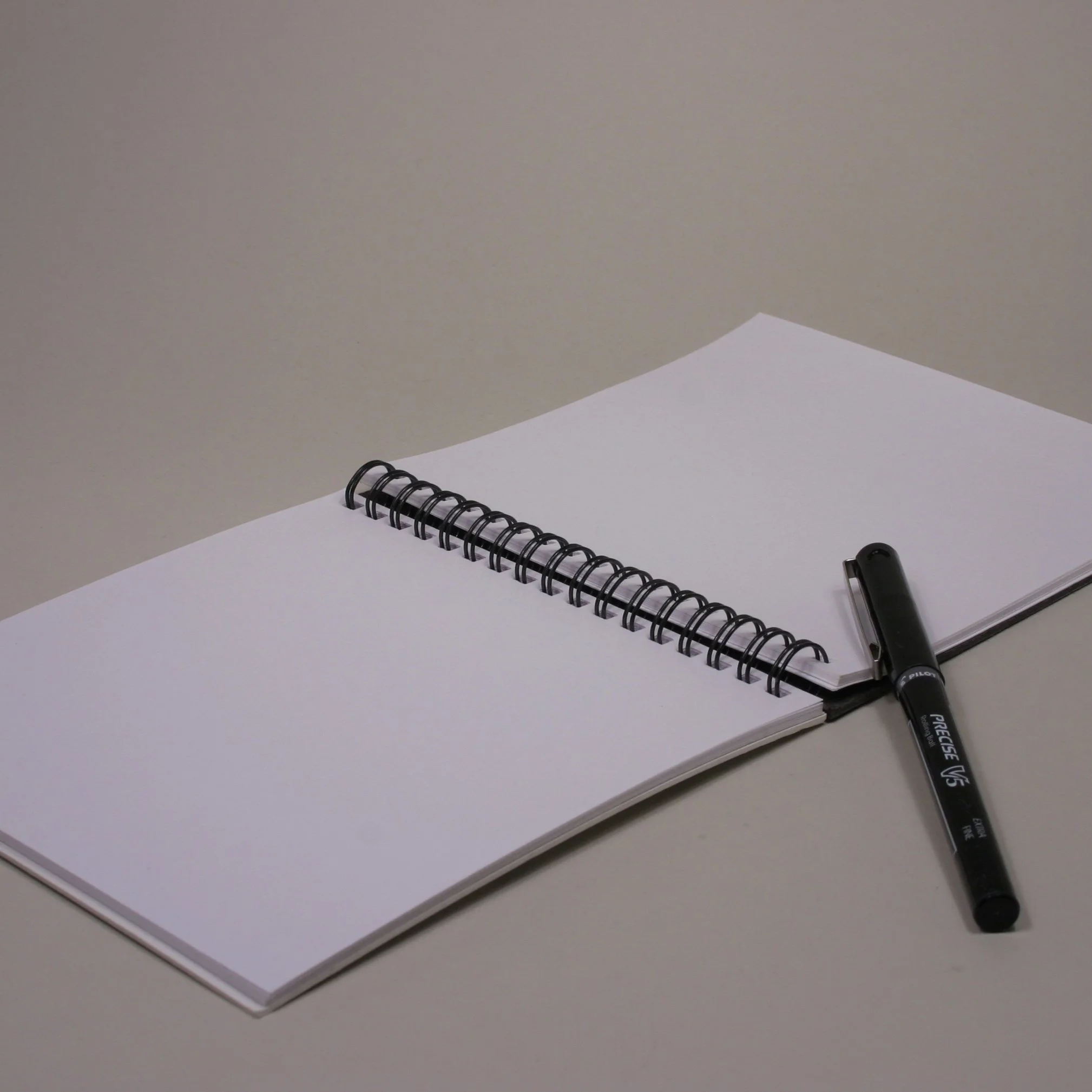 journal_open.jpg